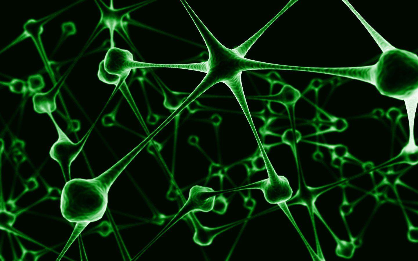 Neuron HD Wallpaper