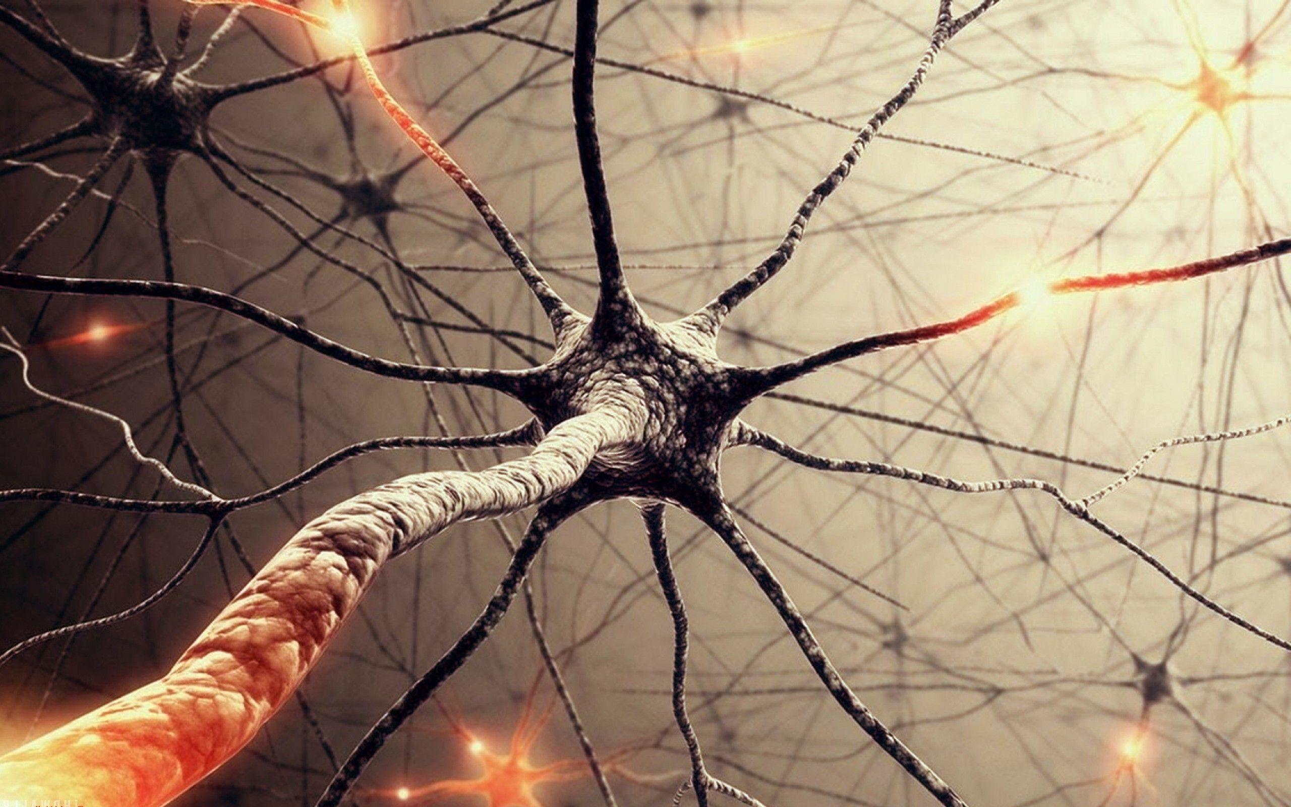 Wallpaper Neurons 2560x1600 HD Picture, Image