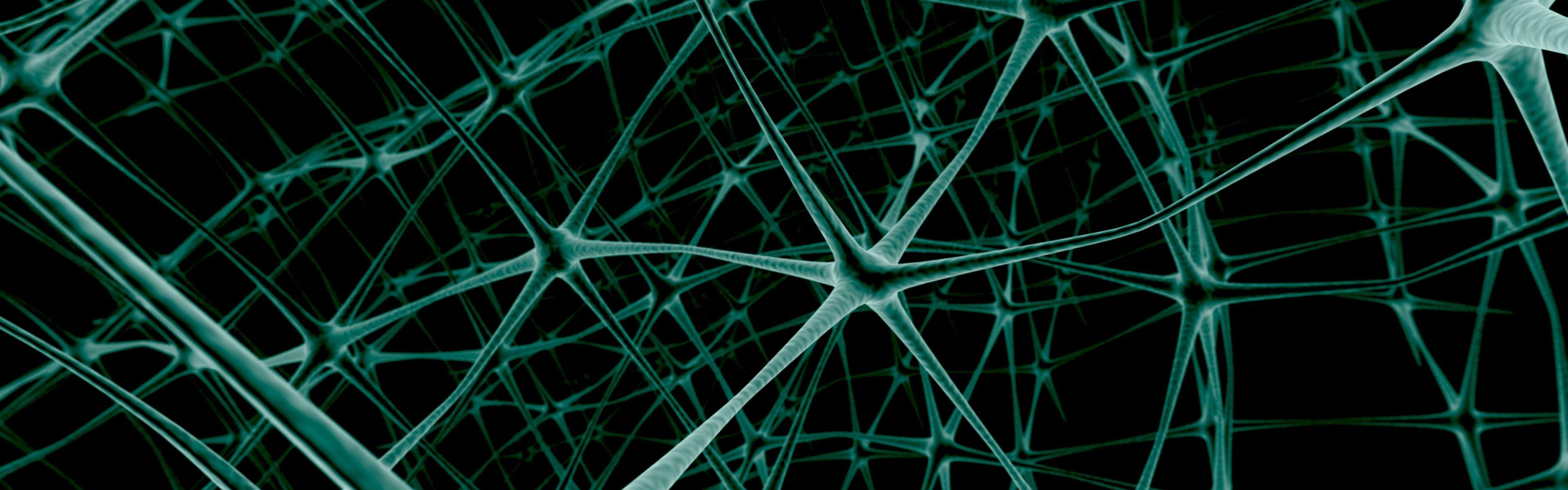 Neuron Wallpaper, Neuron Wallpaper Free Download