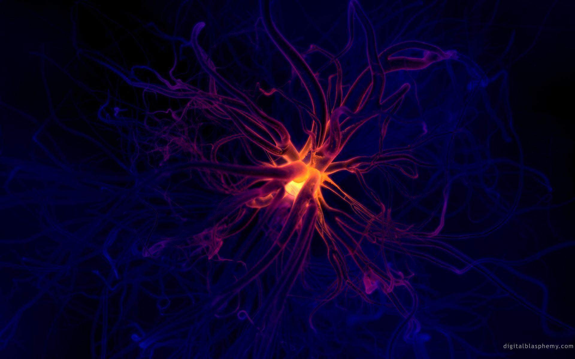 Neuron Wallpaper