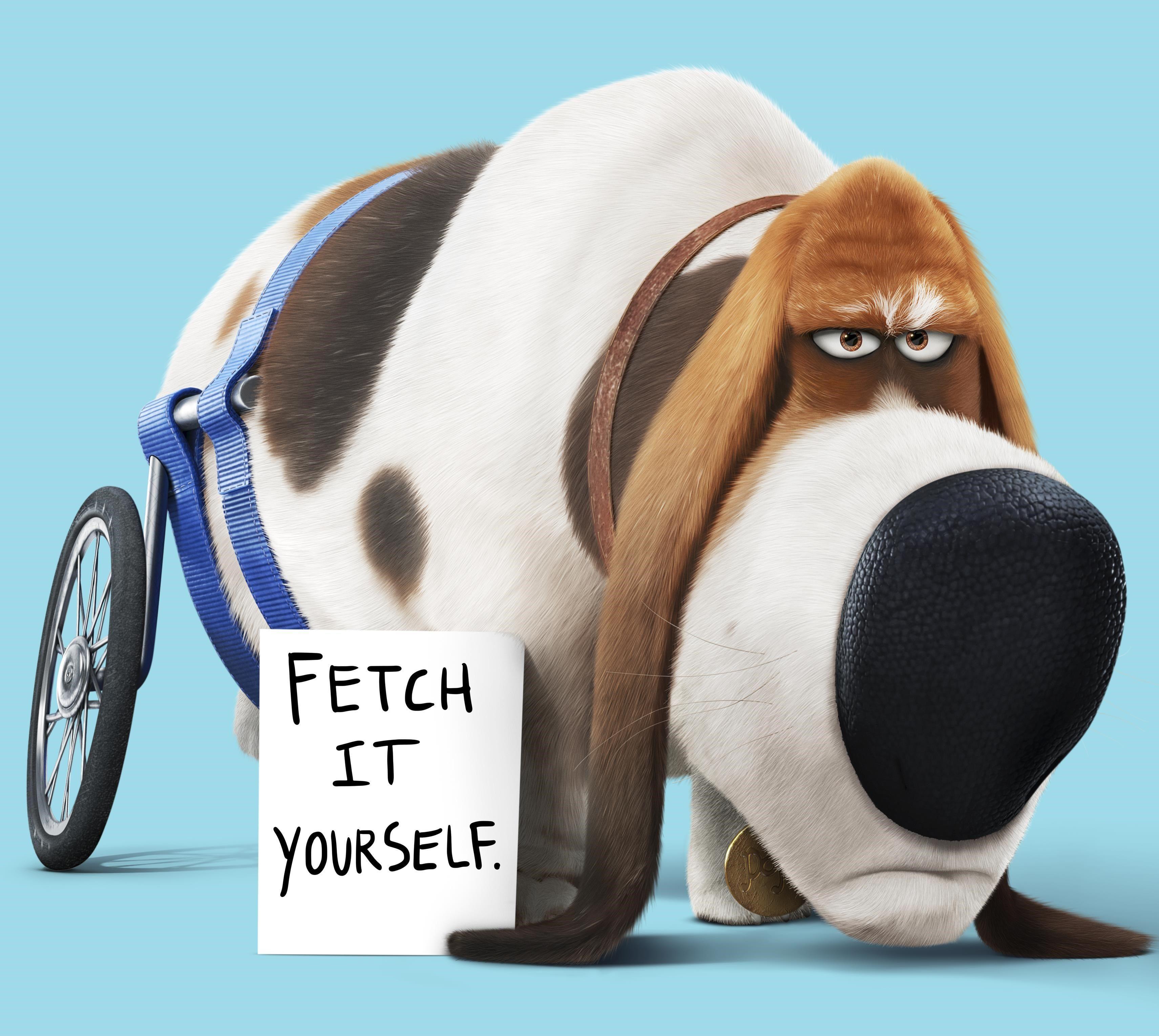 for iphone download The Secret Life of Pets free