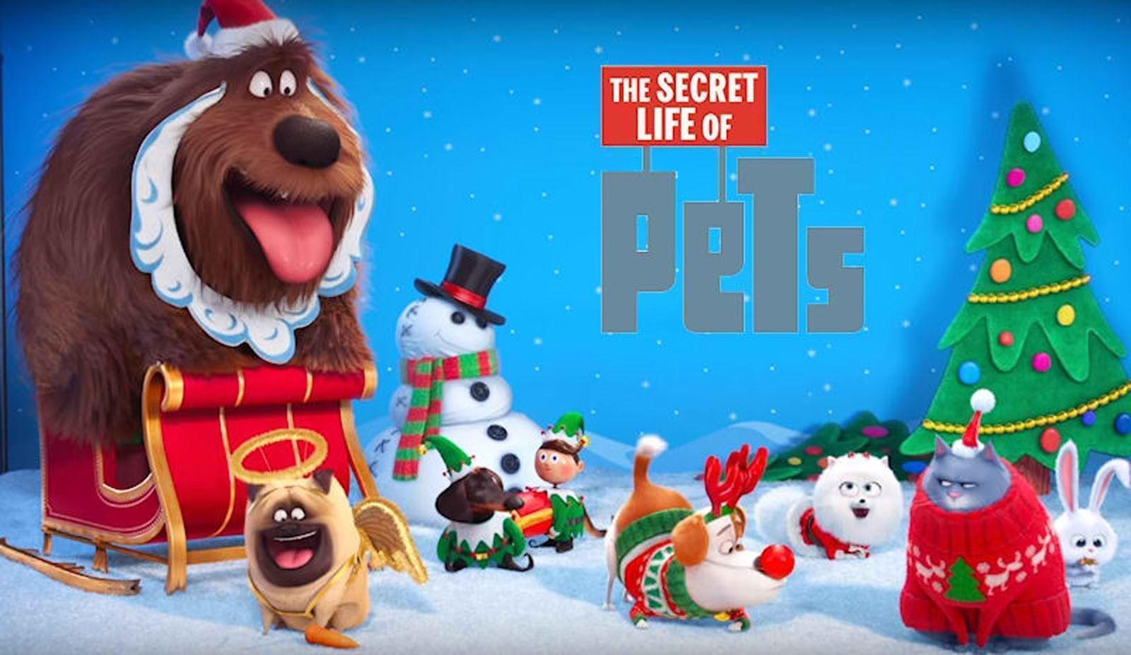 The Secret Life Of Pets HD Wallpaper Wallpaper Themes