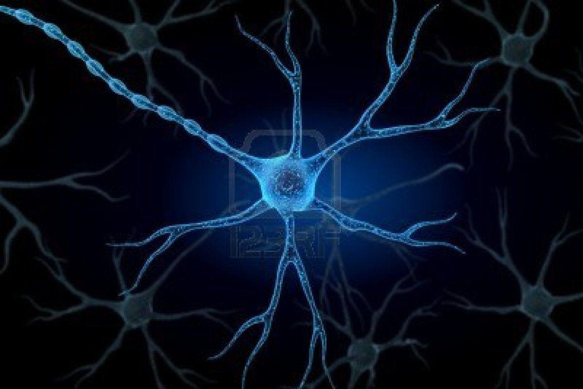 Neuron in isolated background