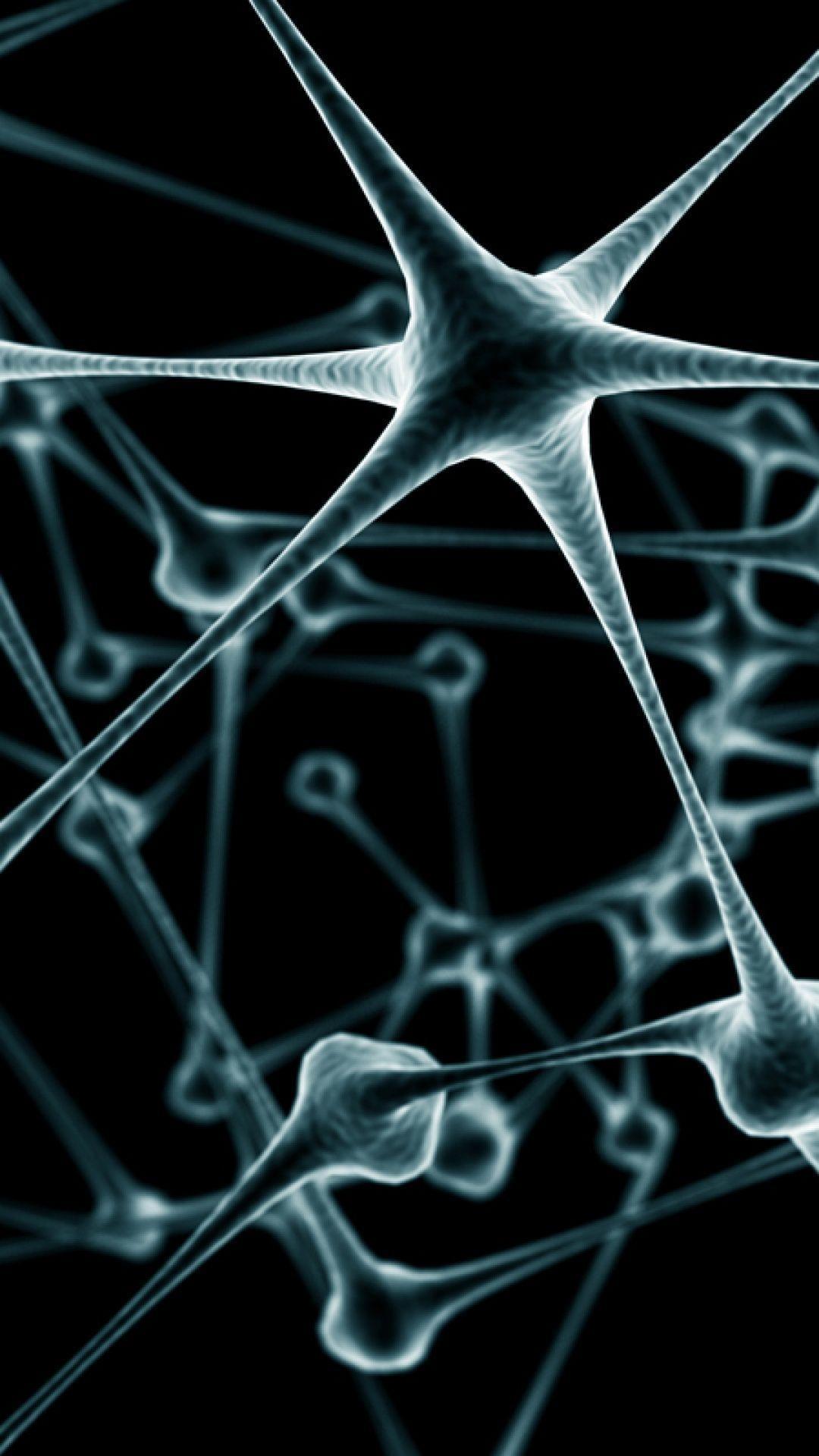 3D Neuron Net iPhone 5 Wallpaper