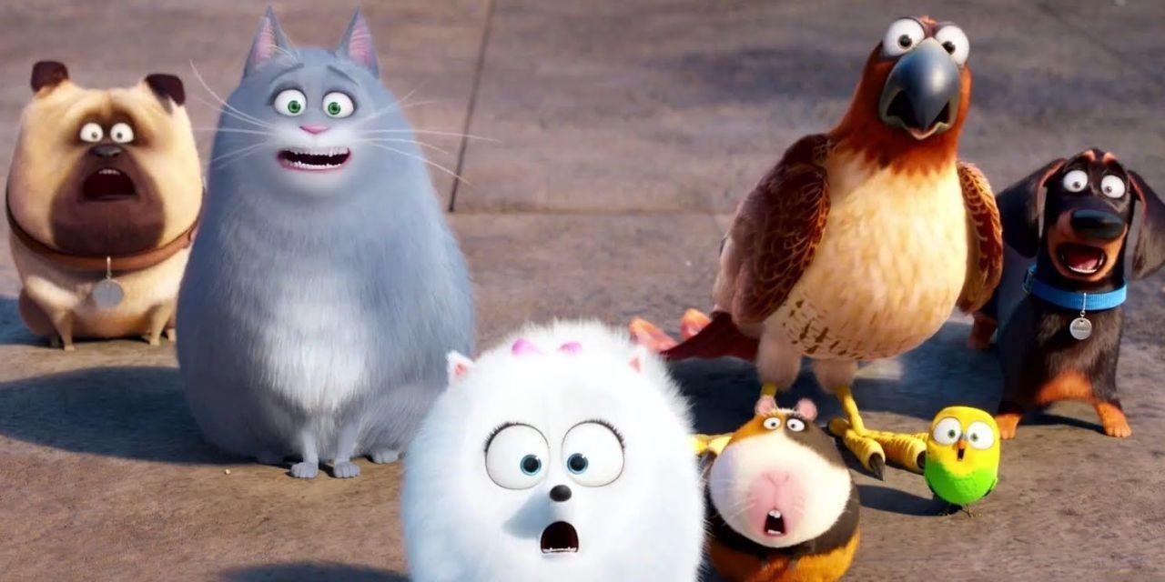 free for mac download The Secret Life of Pets
