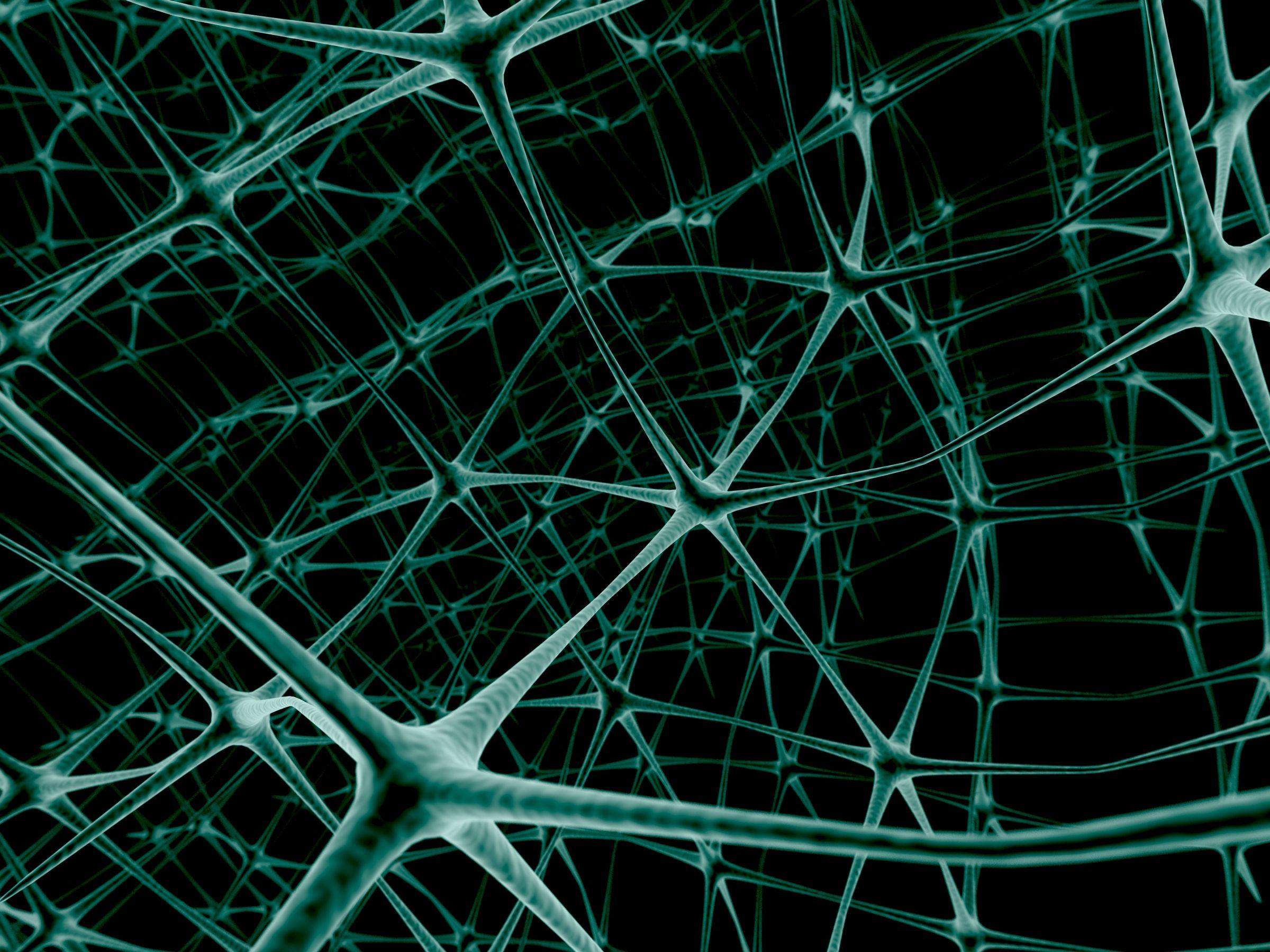 Download Wallpaper Net, Neuron, Connection HD Background