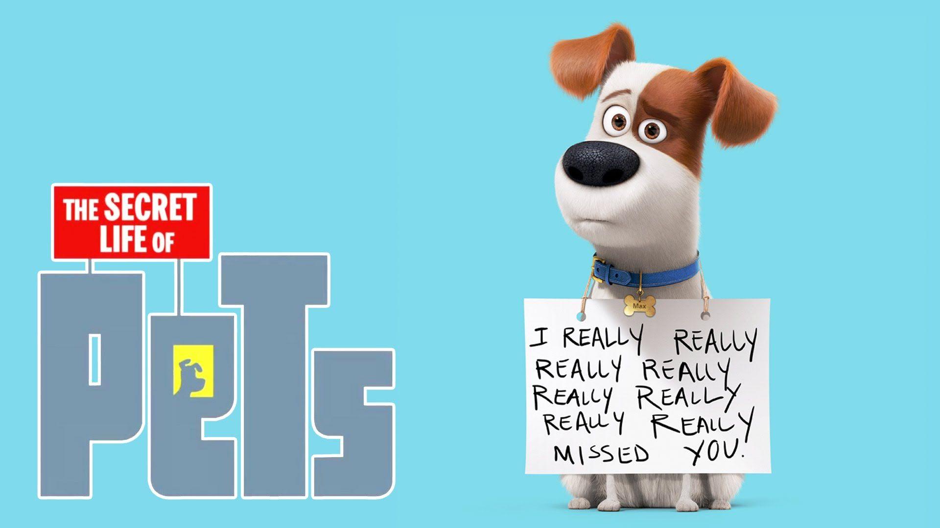 The Secret Life of Pets: a comedy about the lives our pets lead
