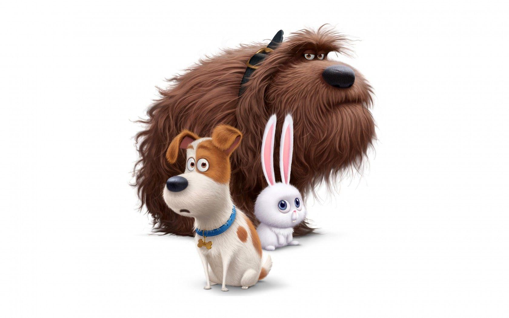 Wallpaper Max, Duke, Snowball, The Secret Life Of Pets, Animation