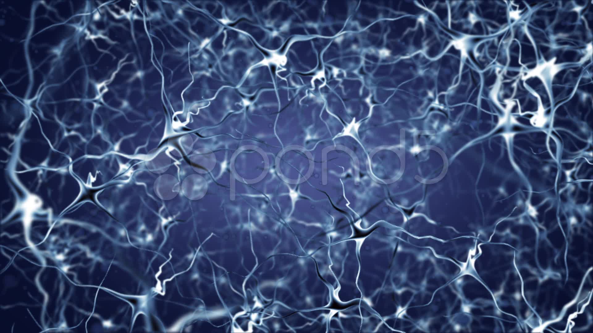 Brain Neuron Wallpaper Download