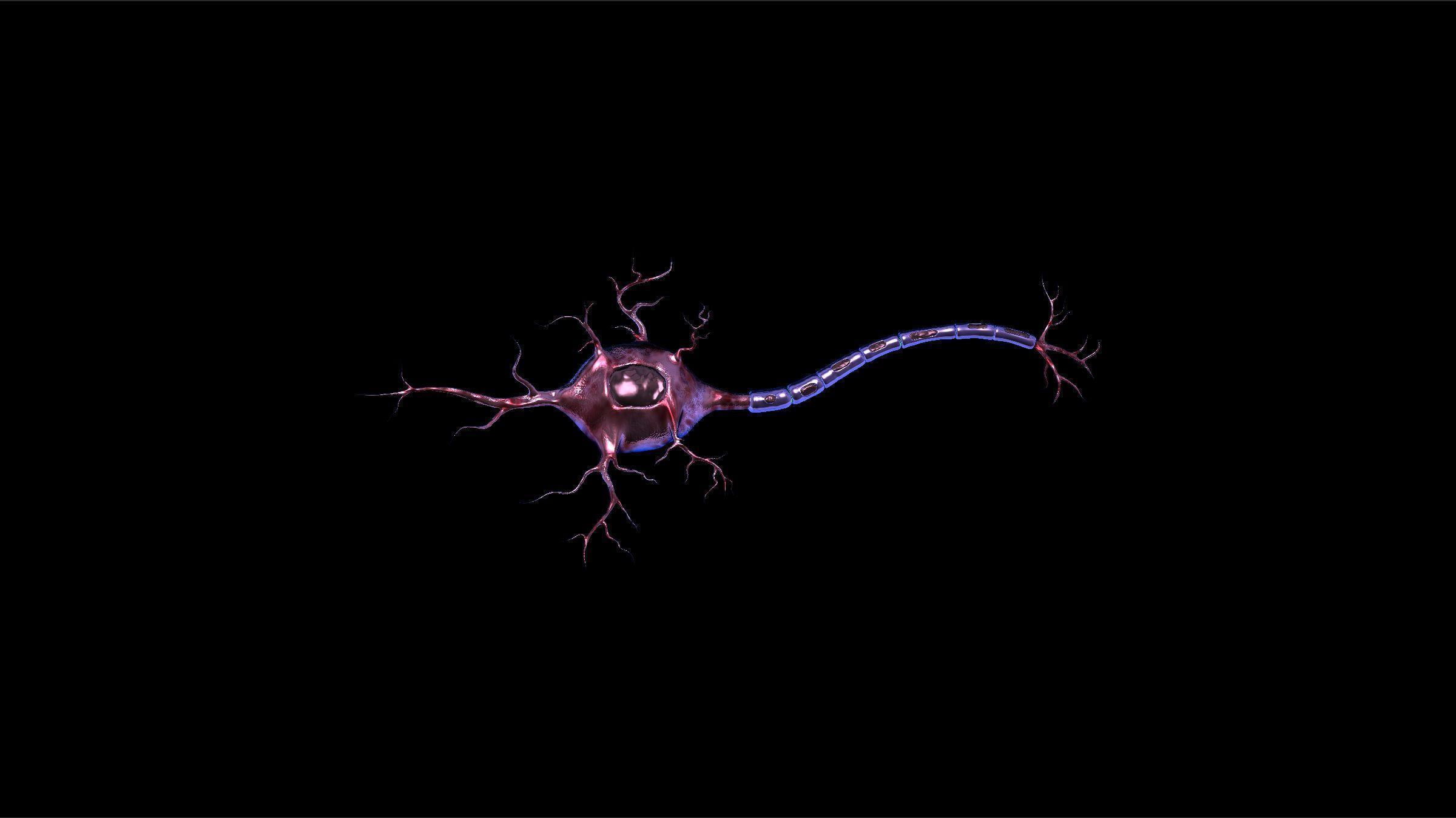 Brain Neuron Wallpaper (2400×1350). Tattoo Ideas