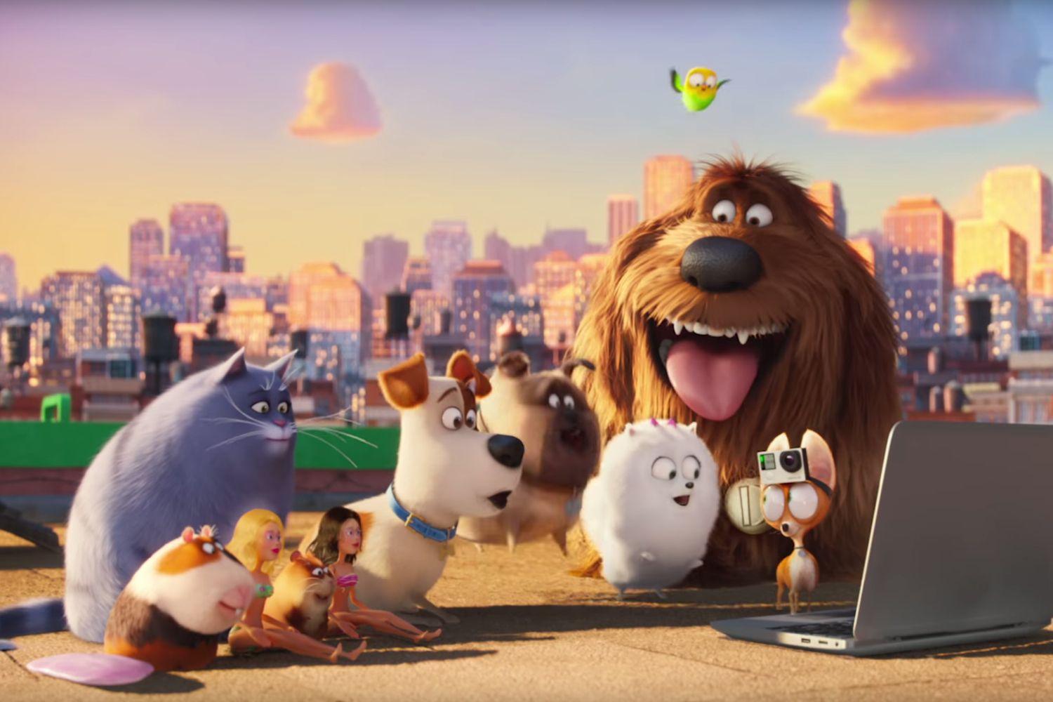 The Secret Life of Pets' raises Huge Box Office Collections on