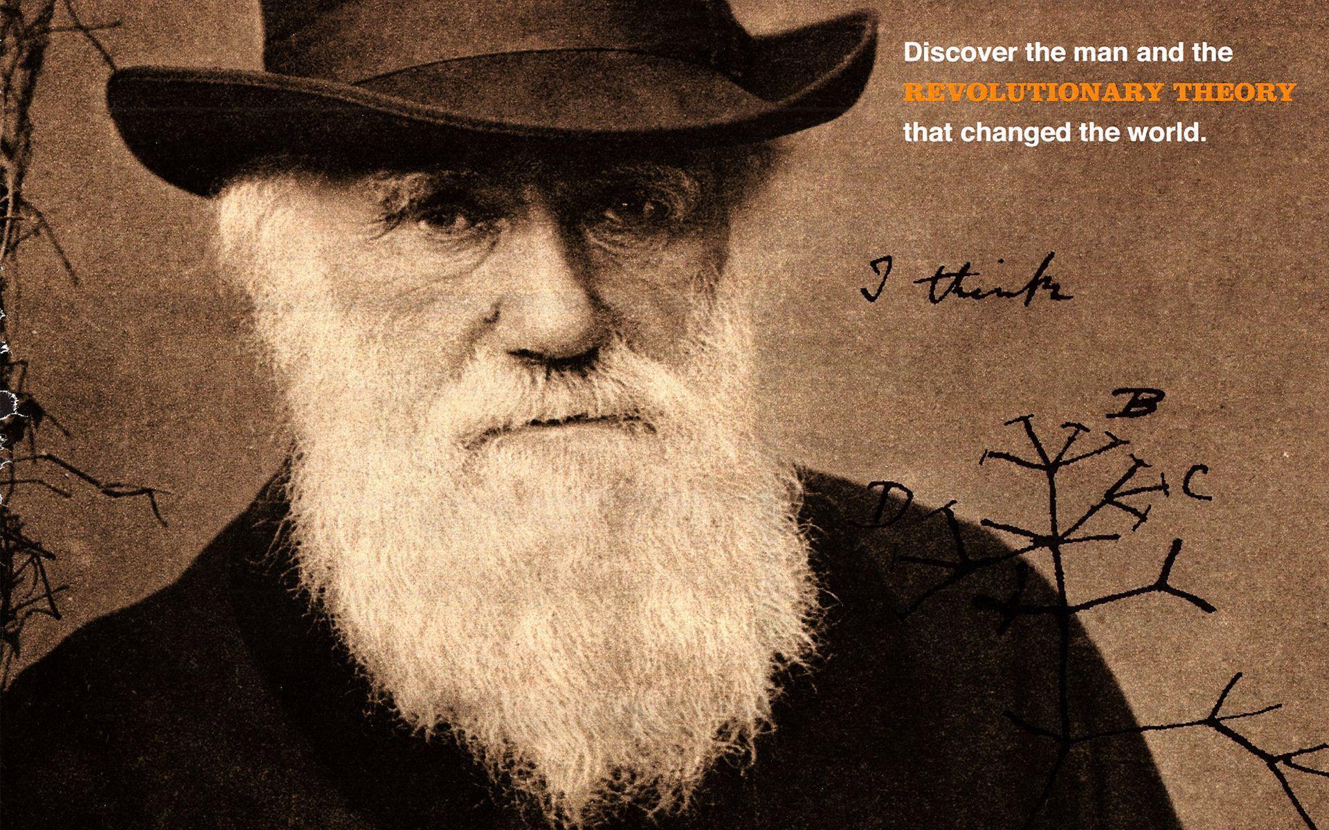 Charles Darwin HD Wallpaper