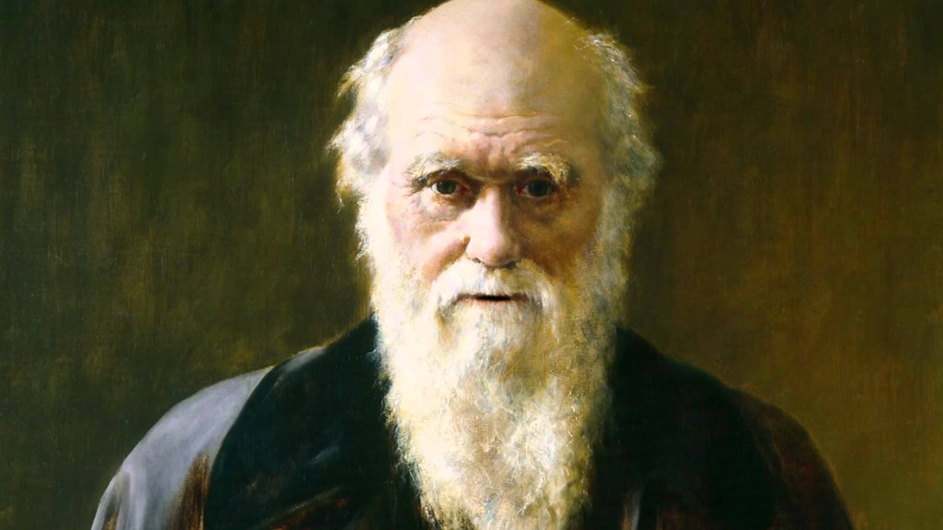 Charles Darwin Wallpaper. Latest HD Wallpaper