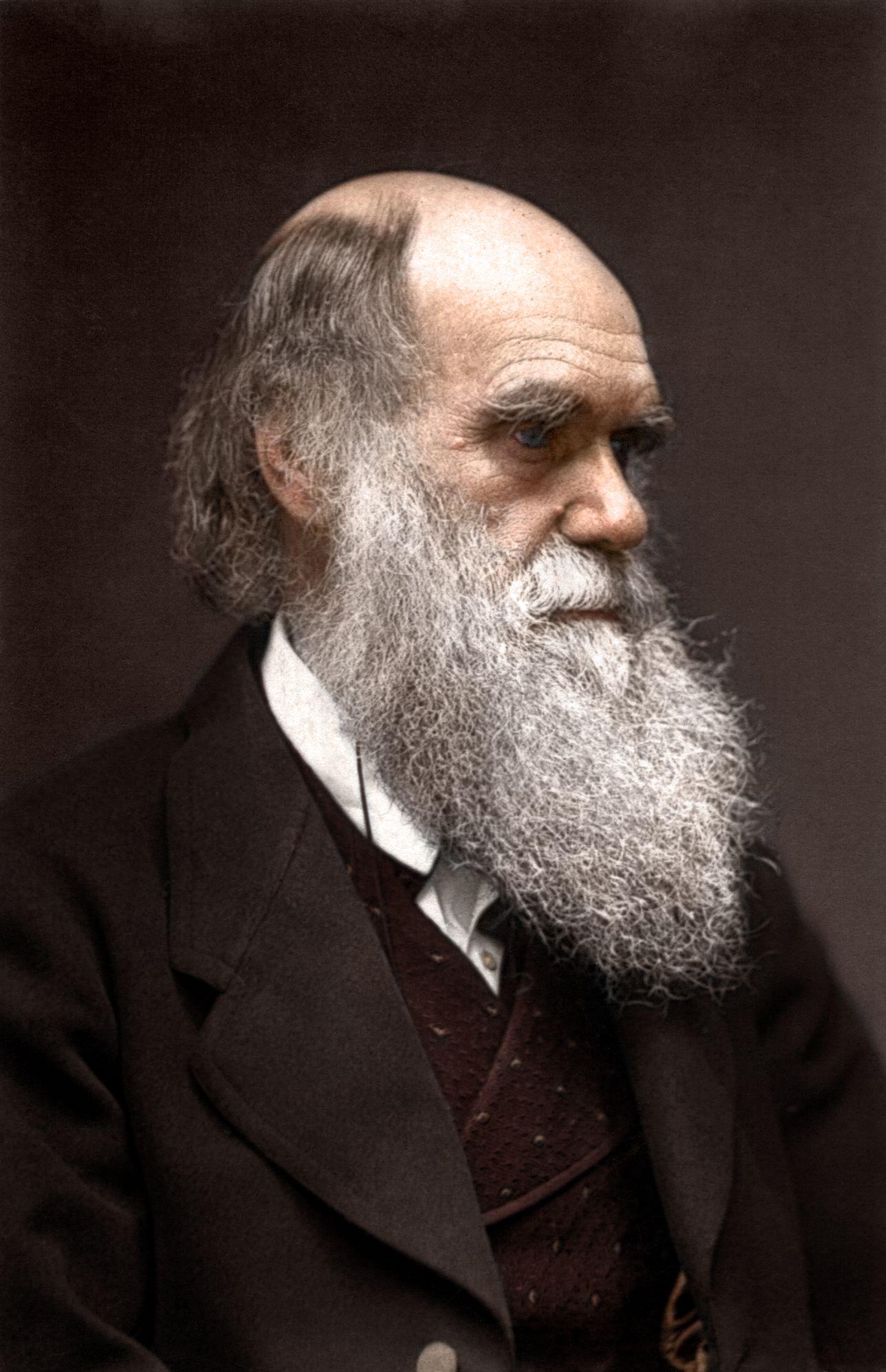 Charles Darwin Wallpapers - Wallpaper Cave