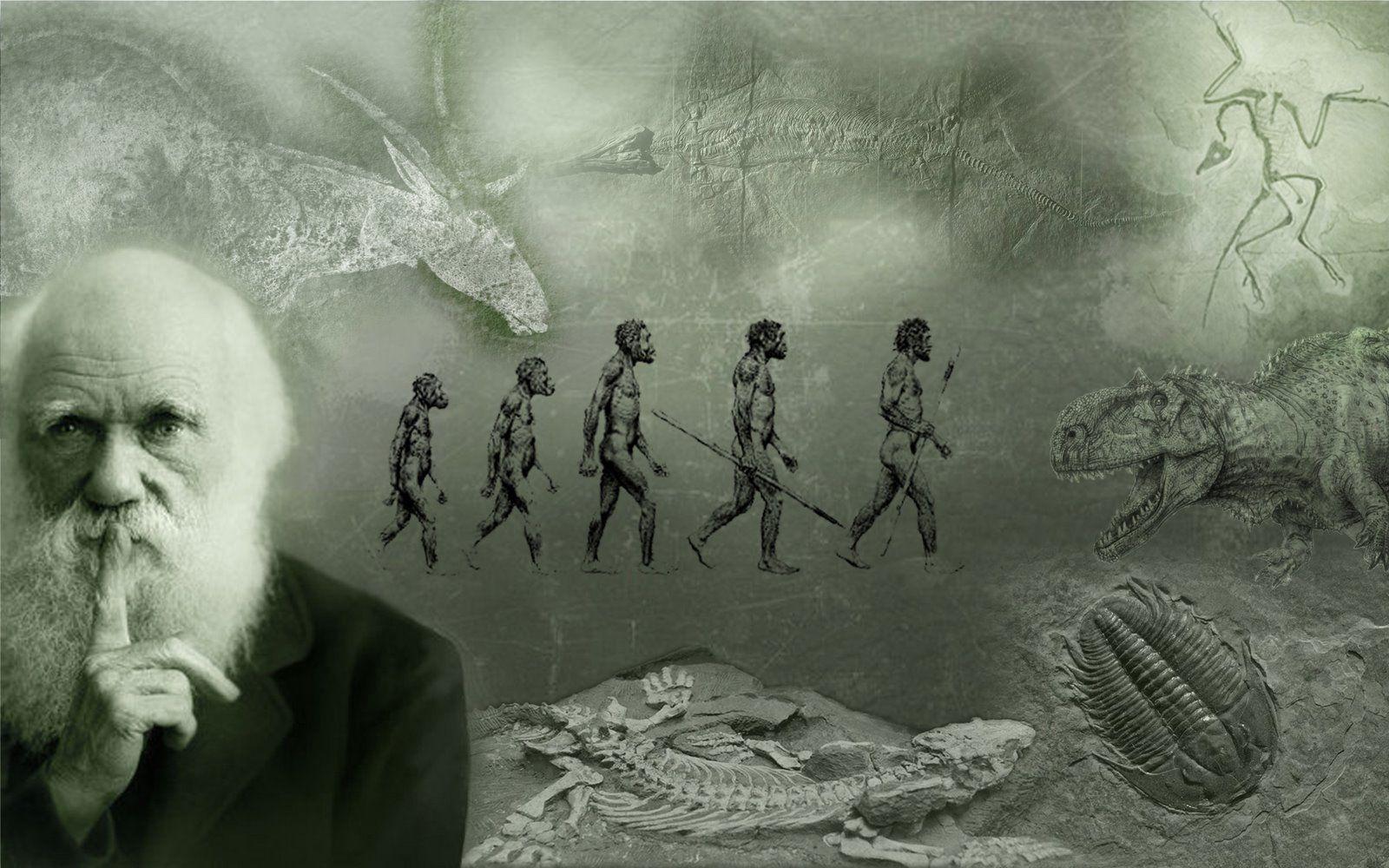 Evolution Darwin Wallpaper