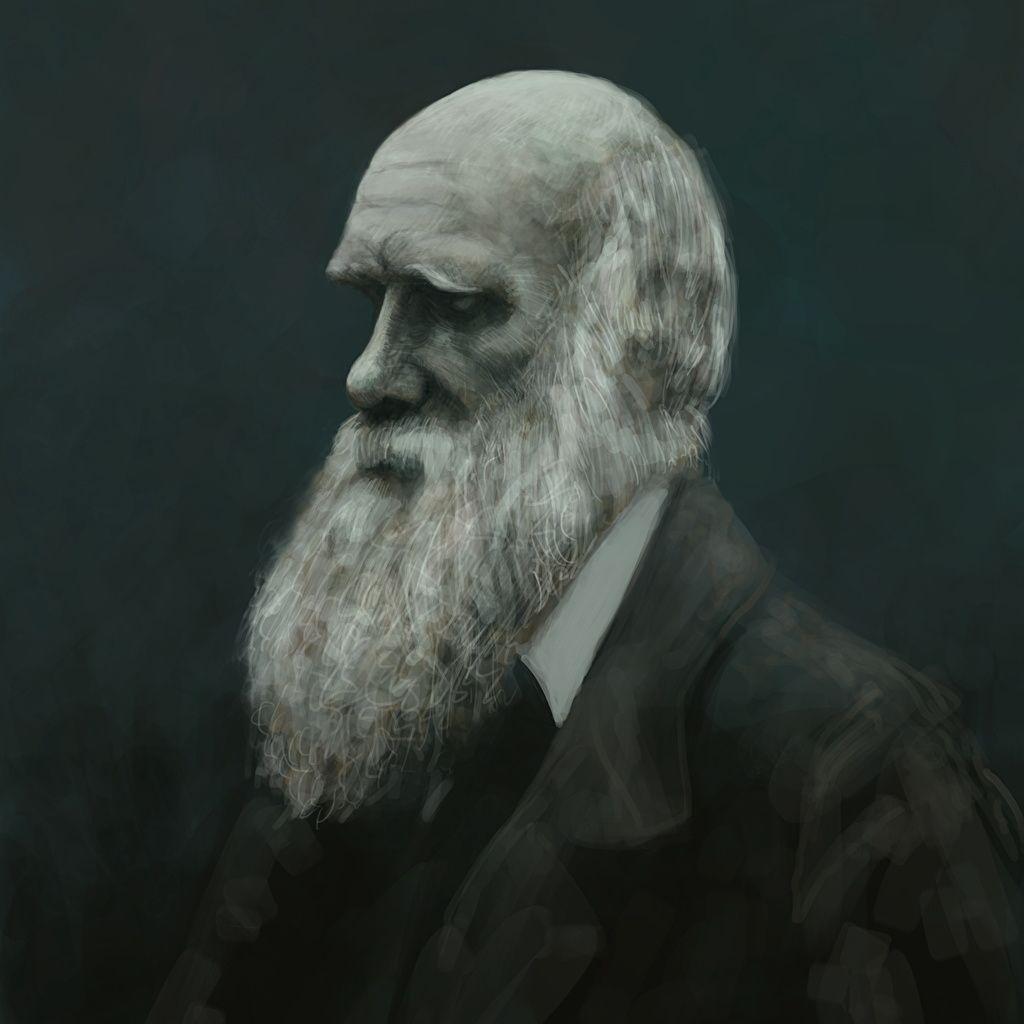 Charles Darwin Beard Celebrities Painting Art