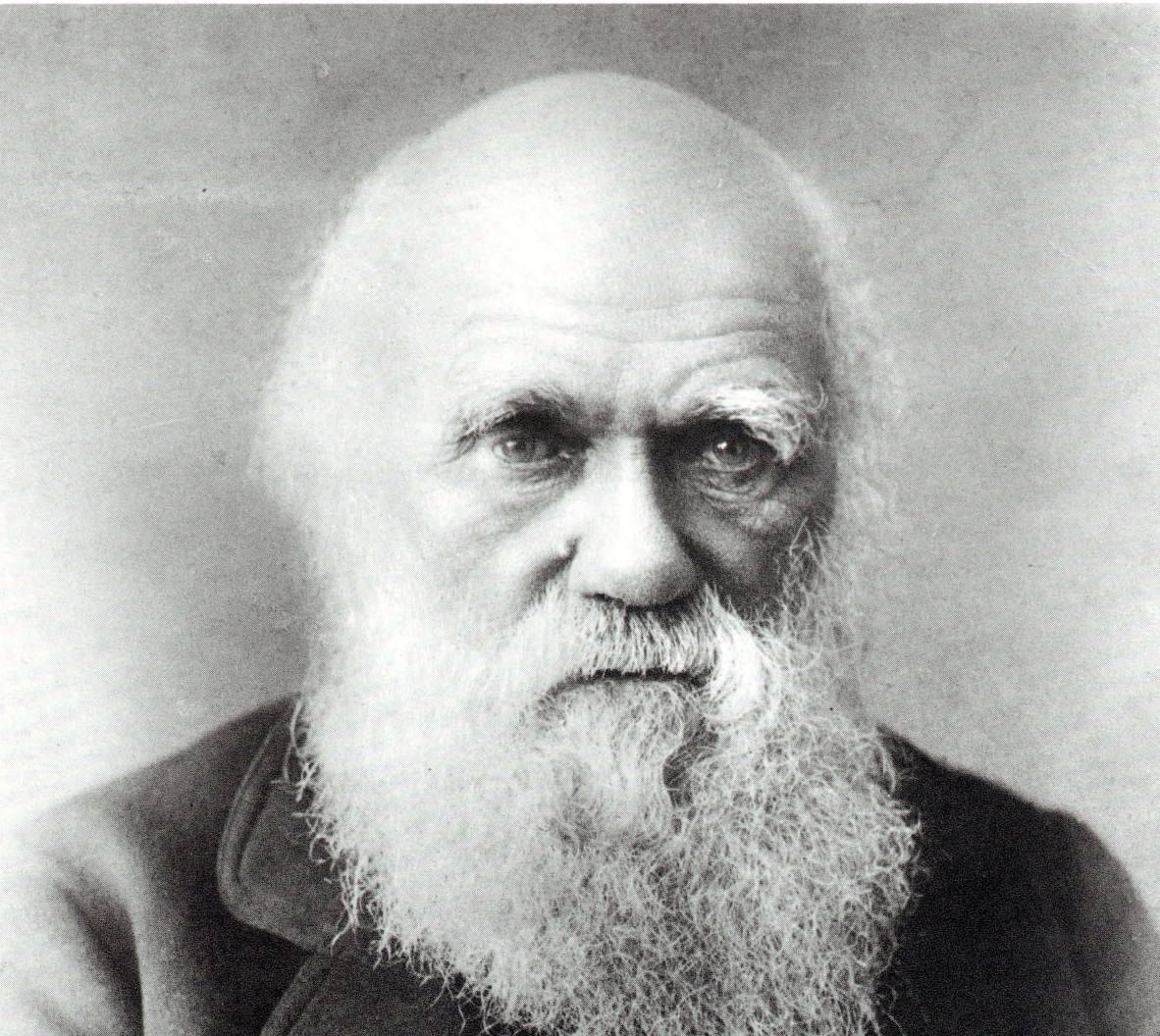 Charles Darwin 2