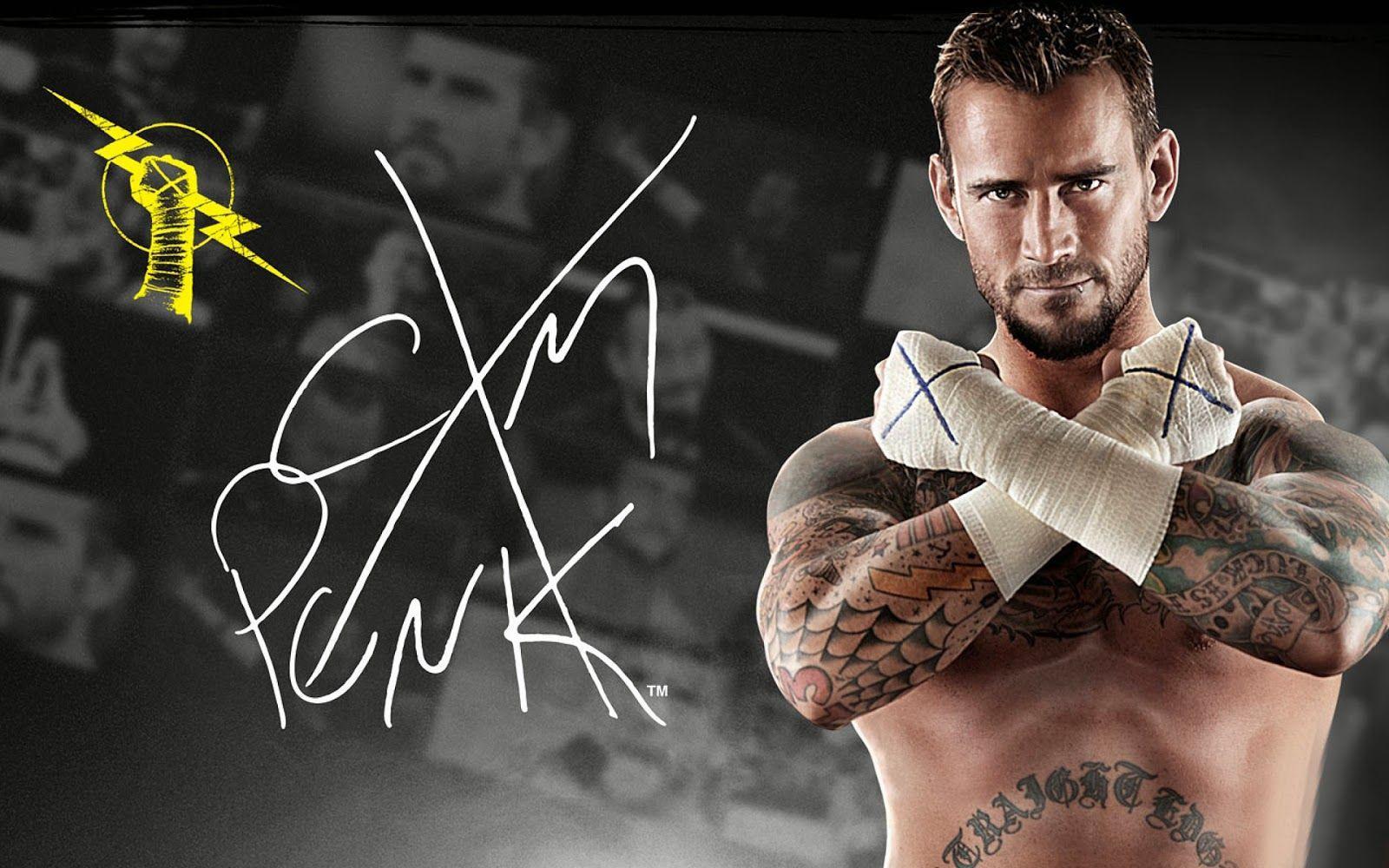 WWE Superstars and All WWE 2014 Wrestlers HD Wallpaper