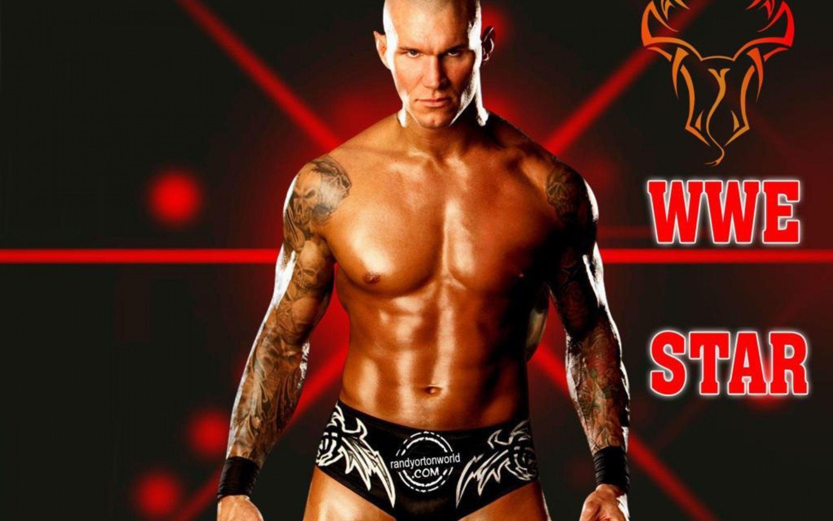 Wwe Superstars 2015 Wallpaper