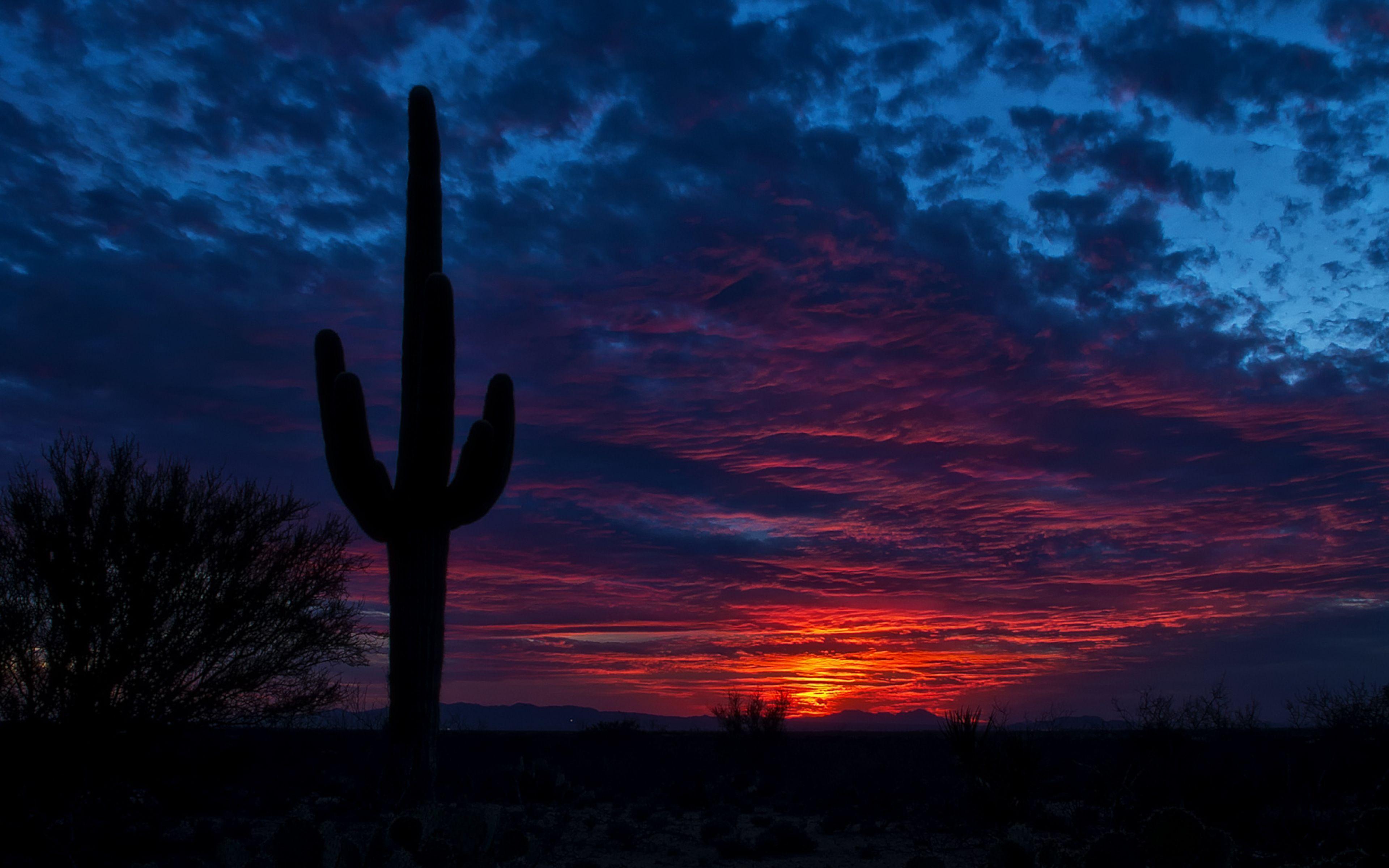 Phoenix Arizona Wallpapers Wallpaper Cave