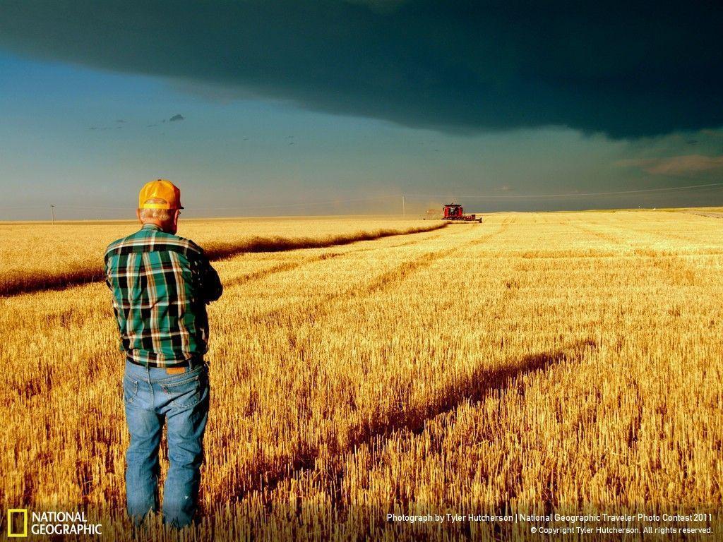 Farmer Wallpaper Live Image, HD Wallpaper