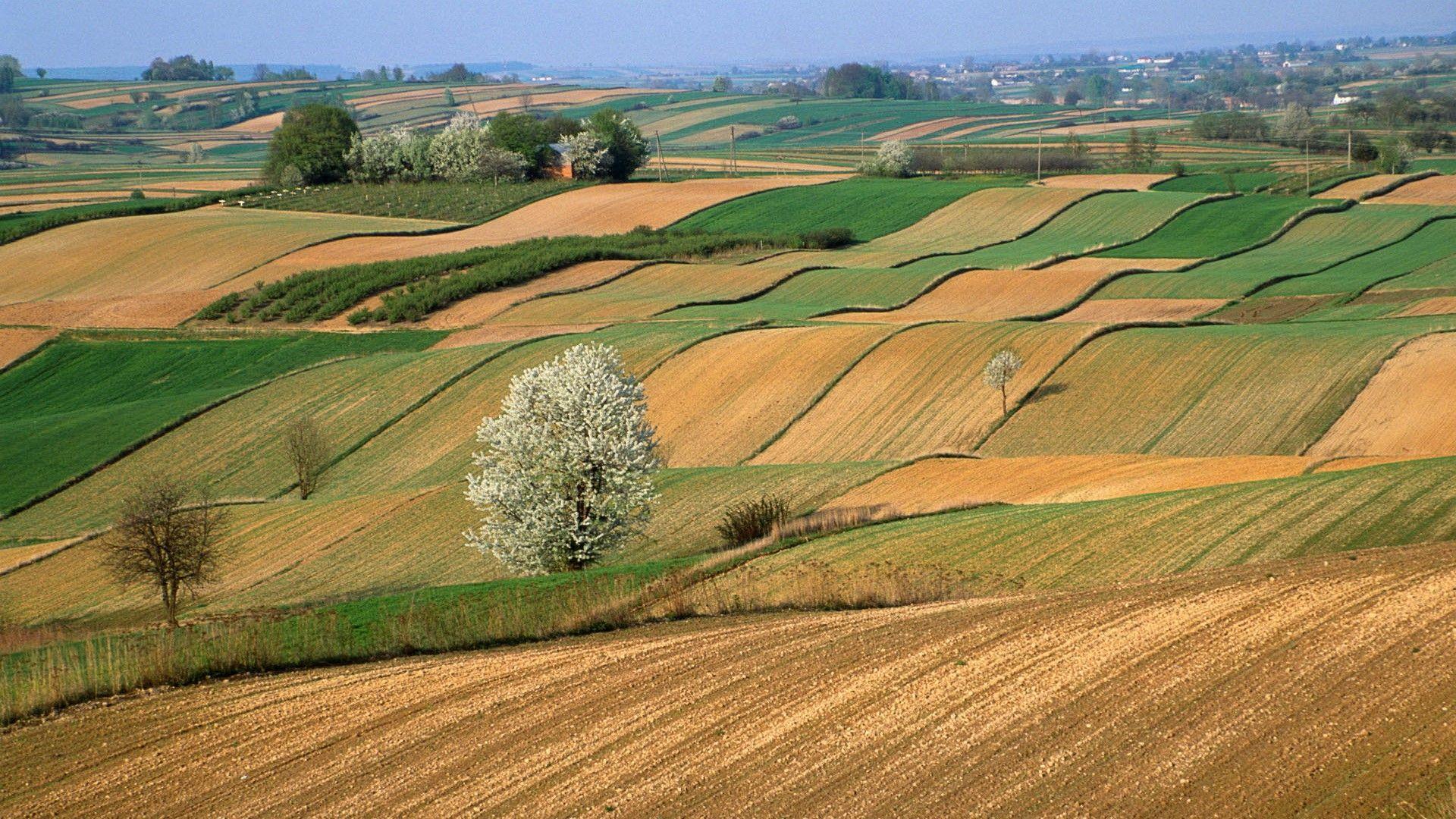 Farmer Wallpapers Wallpaper Cave