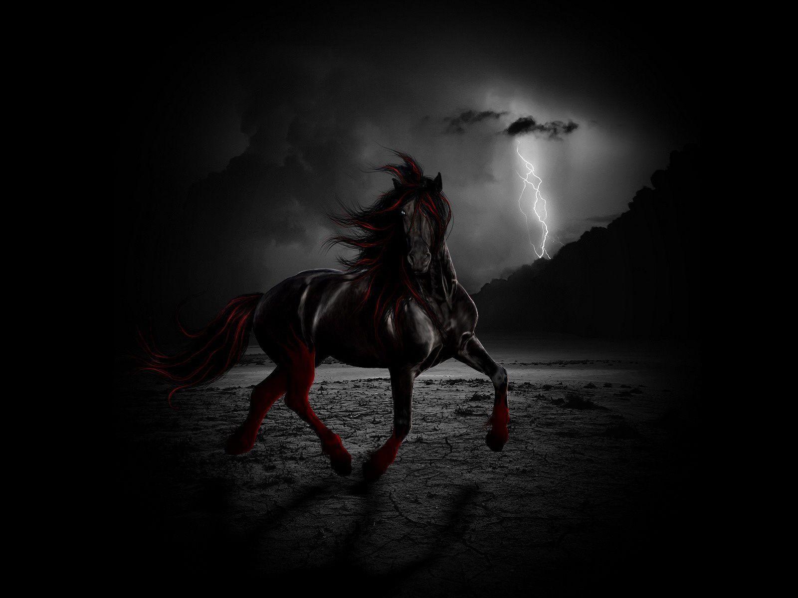 Black Horse Desktop HD Wallpaper 2344