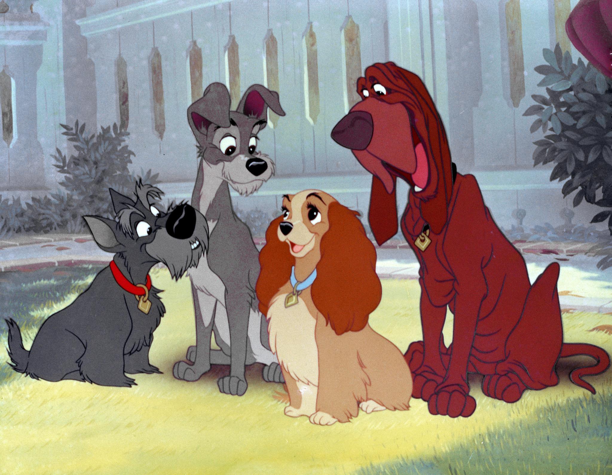 HD Lady and the Tramp Wallpaper