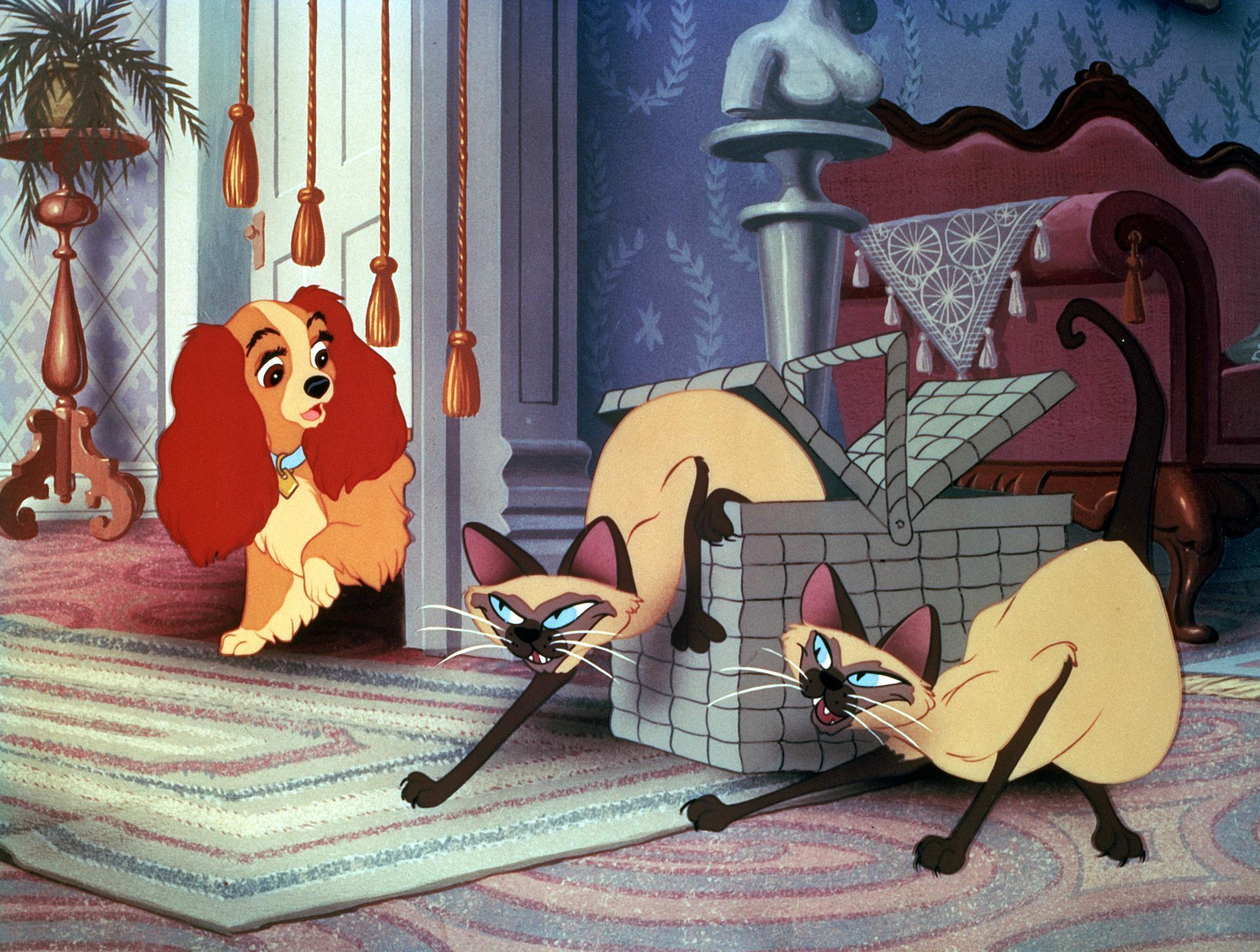 Lady and The Tramp Computer Wallpaper 52421 2048x1548 px
