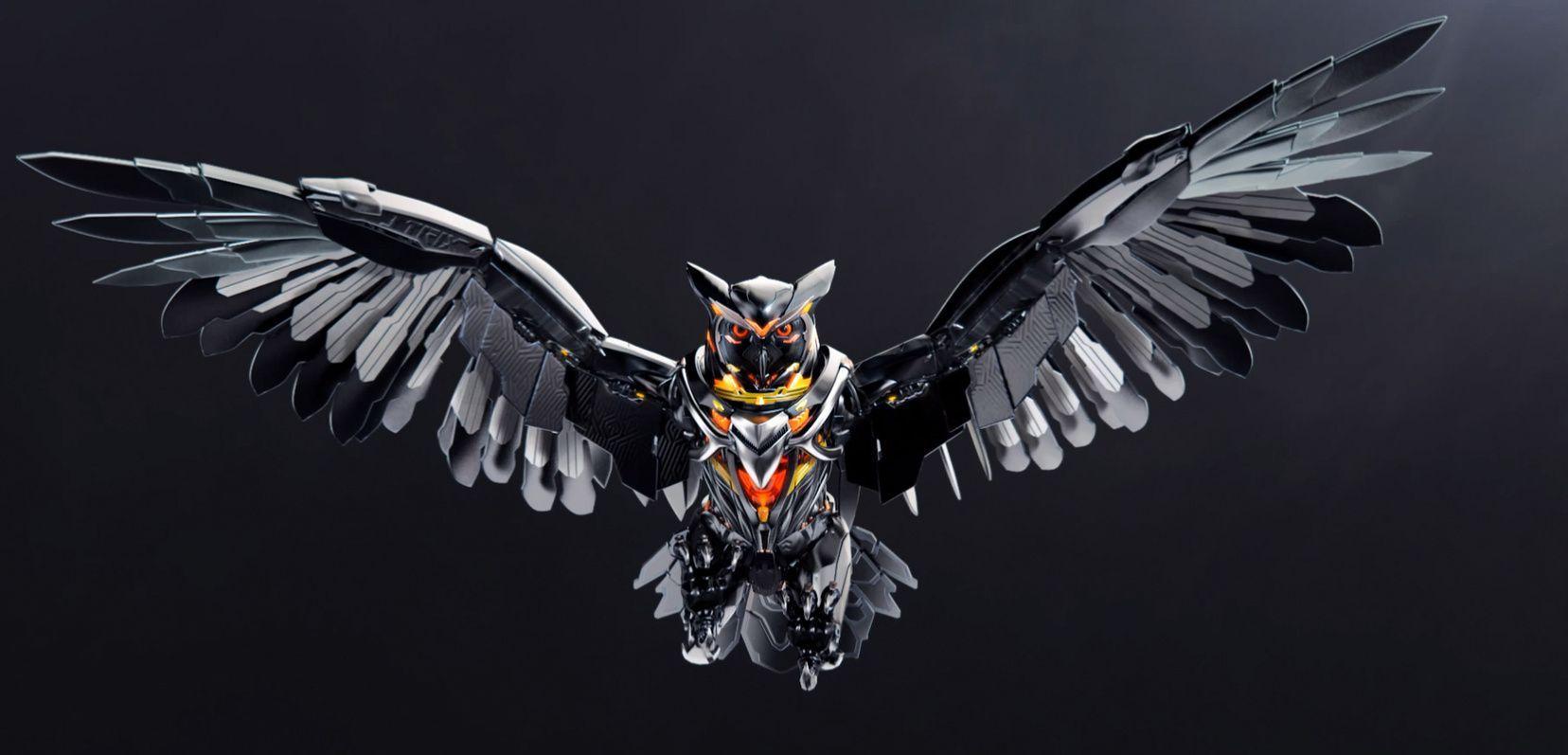 ASUS StriX Owl Download HD Wallpaper and Free Image