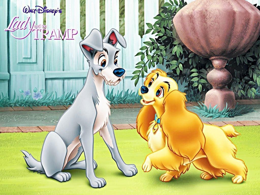 Lady And The Tramp Animation Film HD WallpaperWelcome To StarChop