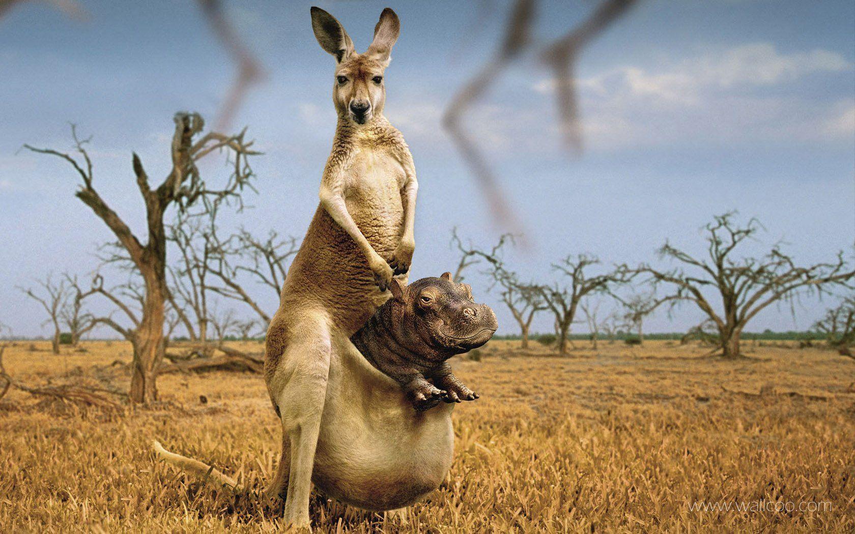 Creative and innovative graphic design for advertising 1680x1050