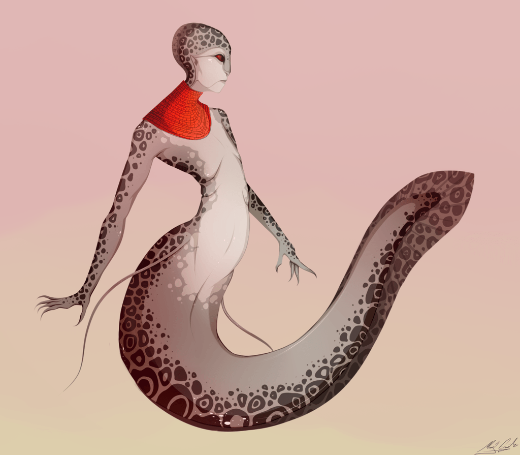 African Lungfish Wallpaper, African Lungfish Full HD Quality