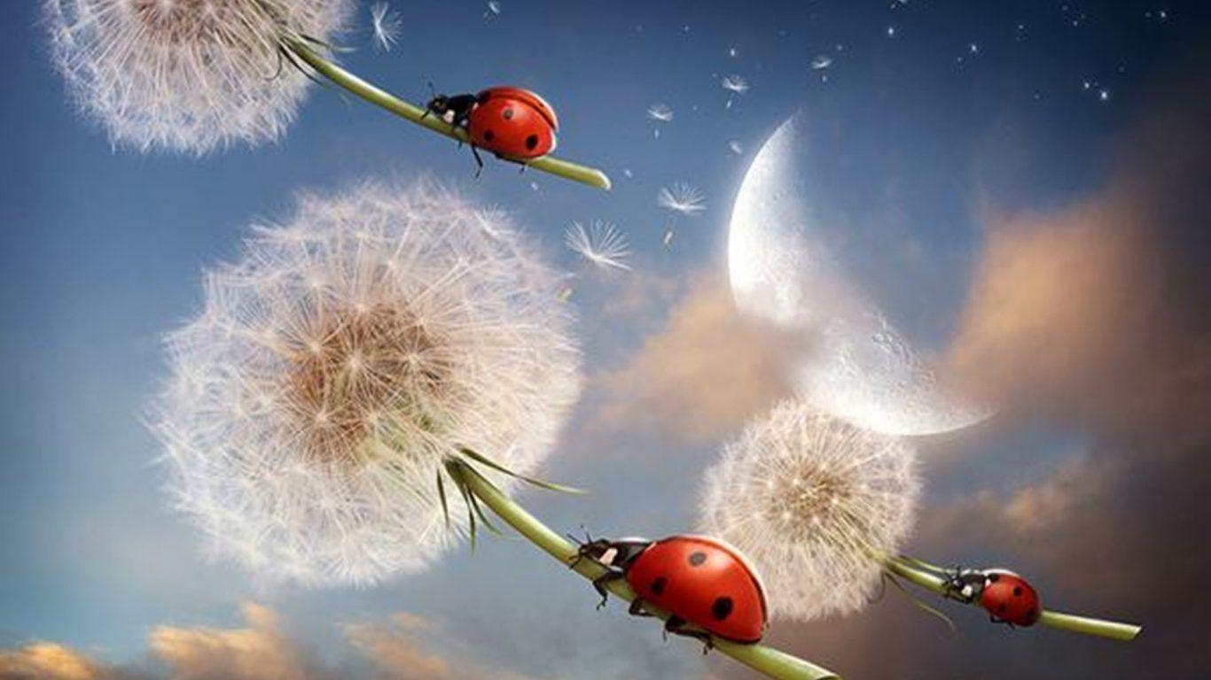 Miscellaneous Coast West Africa Nature Sunset Rock Beach Sand