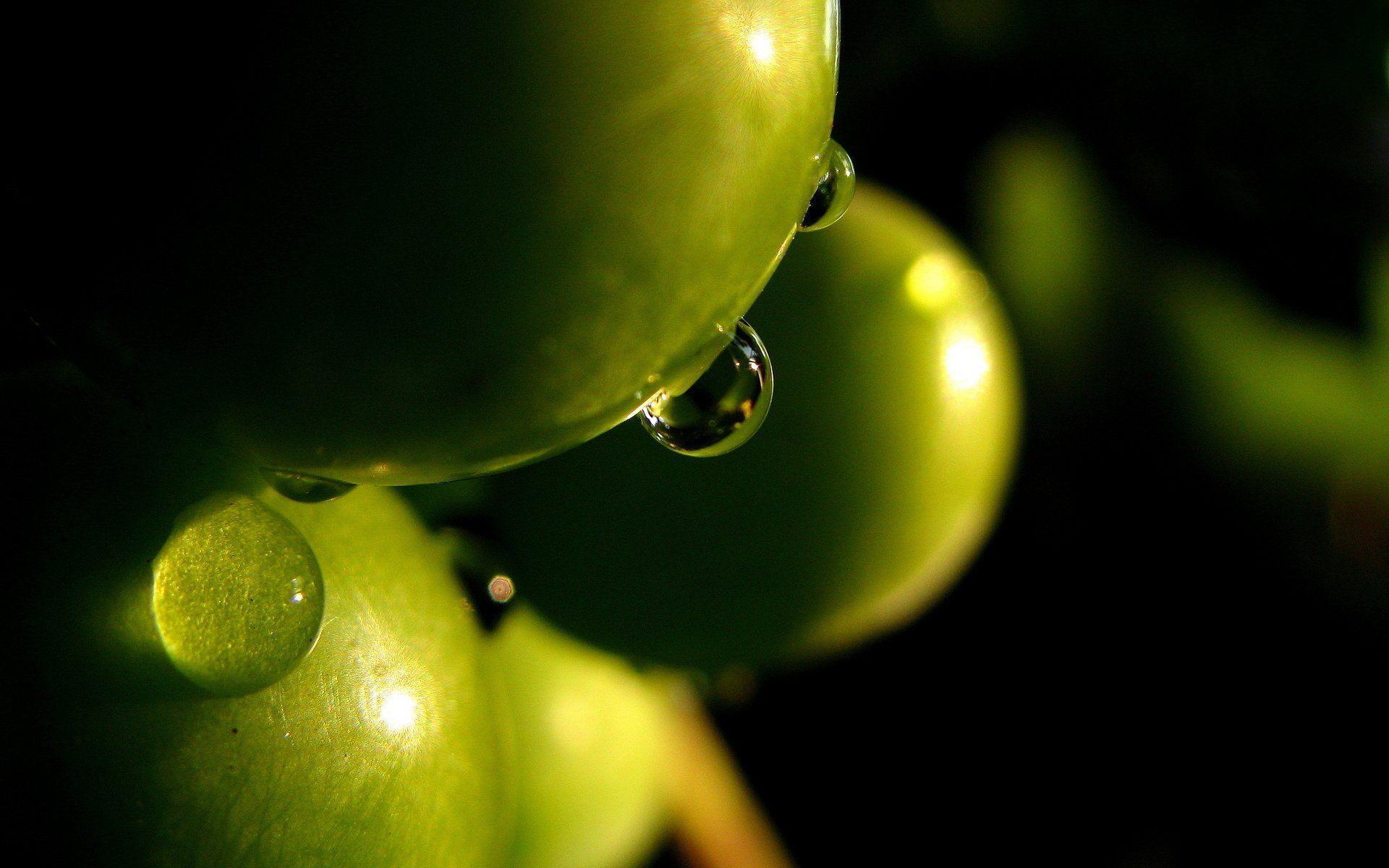 Olive HD Wallpaper