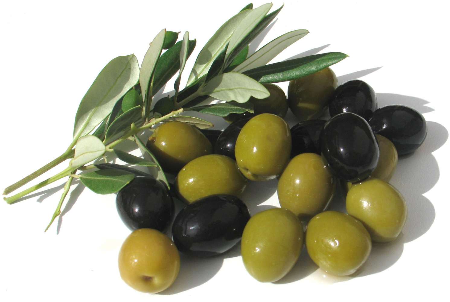 Olive Wallpapers - Wallpaper Cave