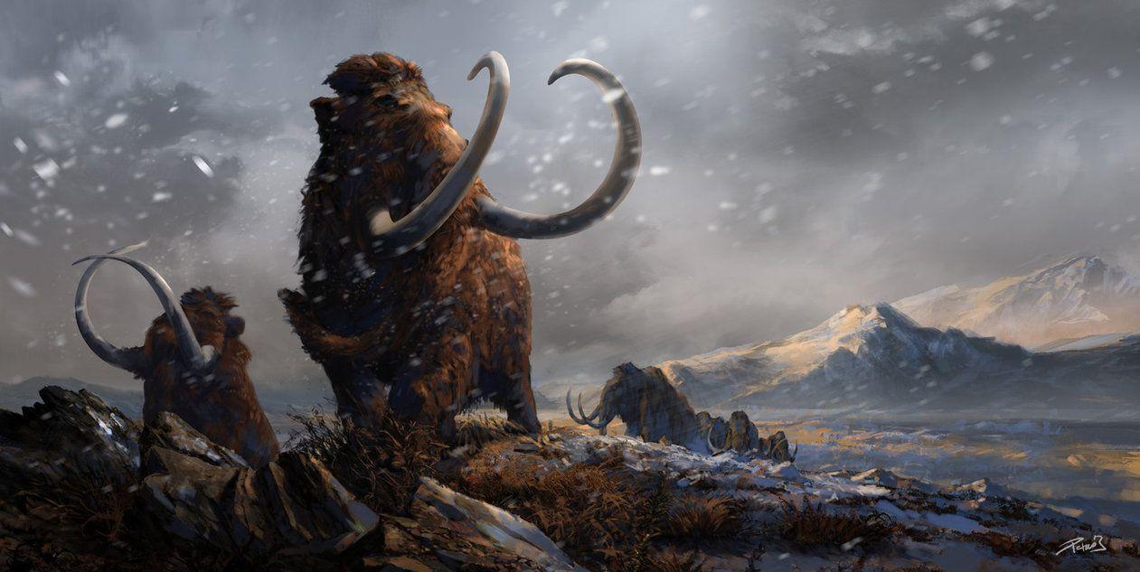 Woolly Mammoth Wallpaper, Woolly Mammoth PC Background 43