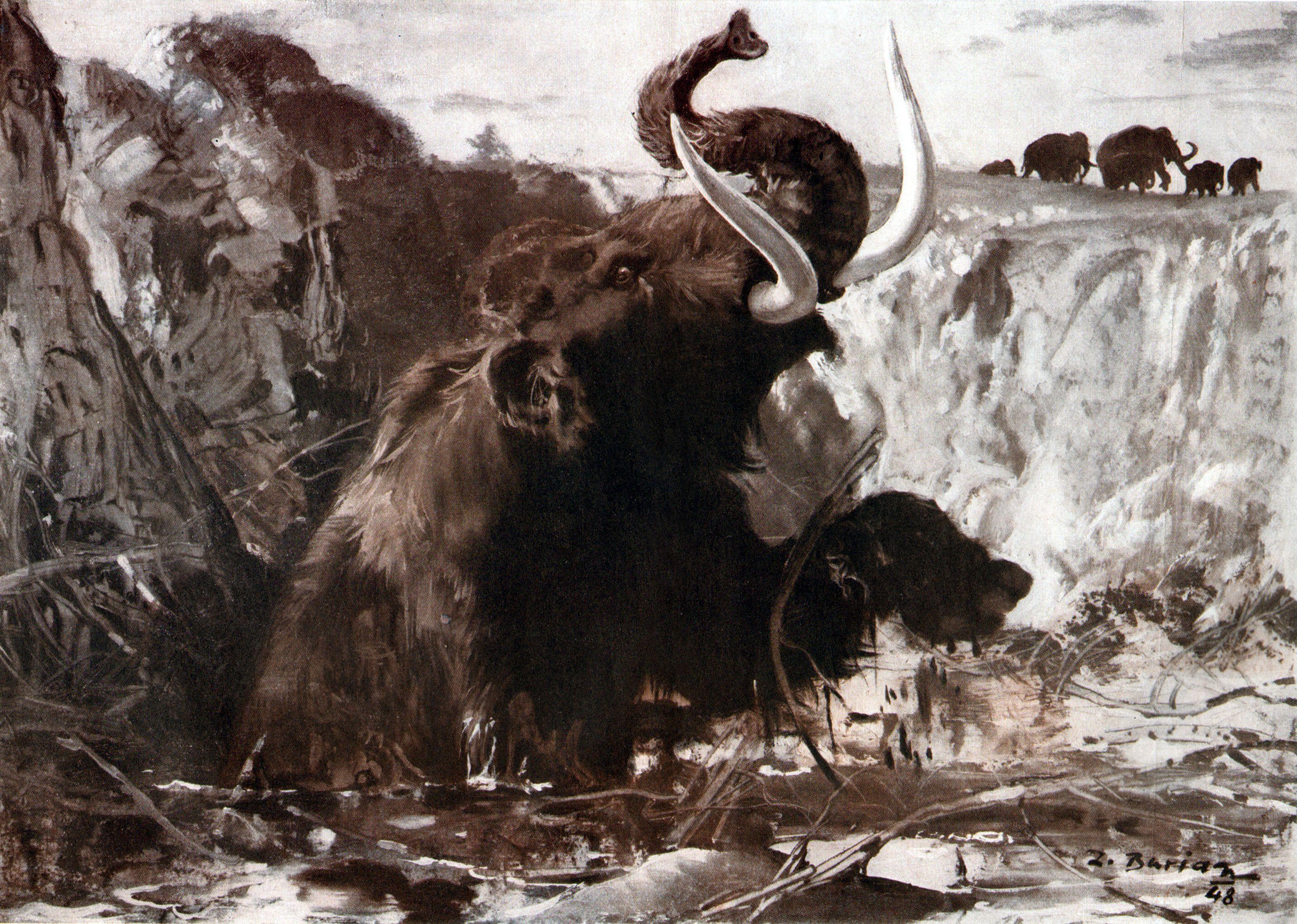 Mammoth Sinking mammoth Animals Ancient animals 3132x2232