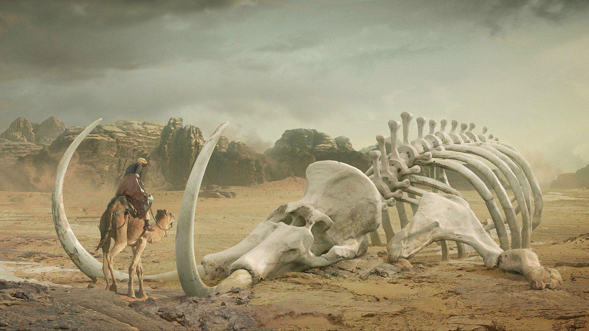 The skeleton of a mammoth in the desert wallpaper and image