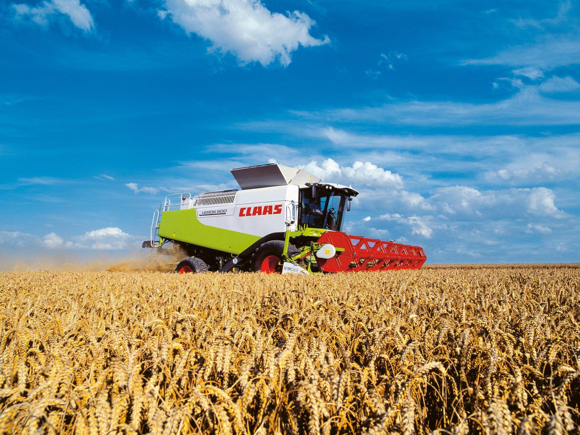 Claas Lexion picture # 54742. Claas photo gallery