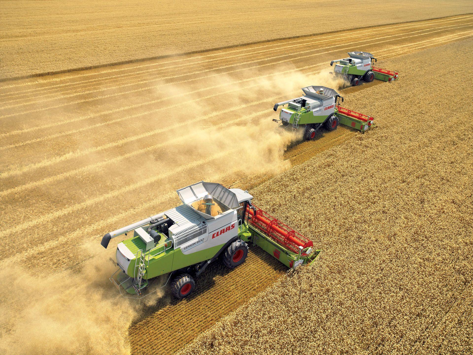 Claas Lexion picture # 54744. Claas photo gallery