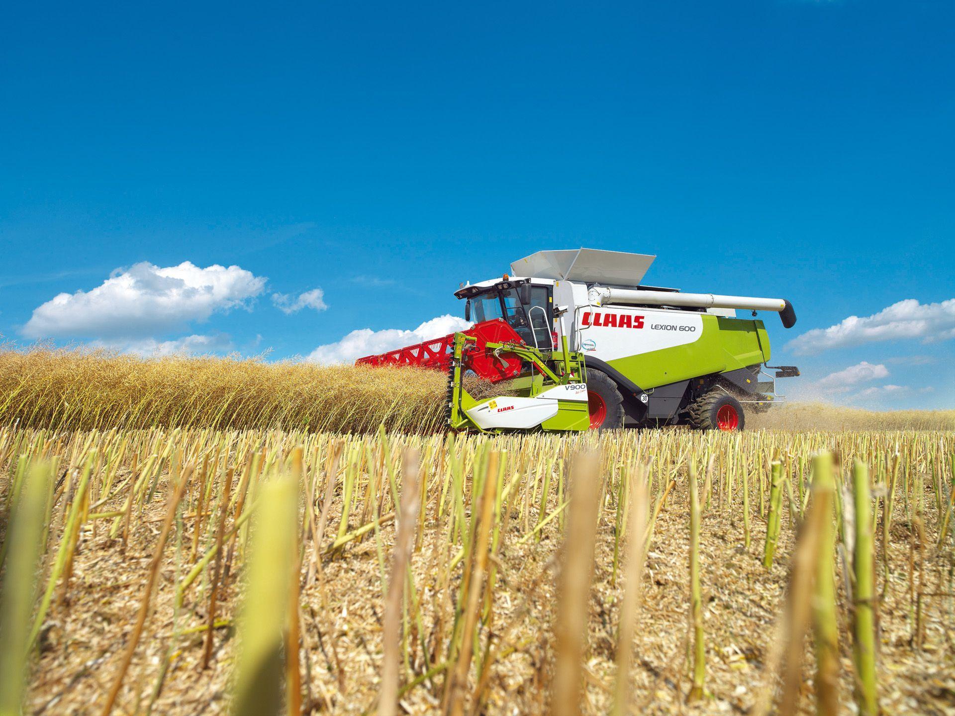 Claas Lexion picture # 54743. Claas photo gallery
