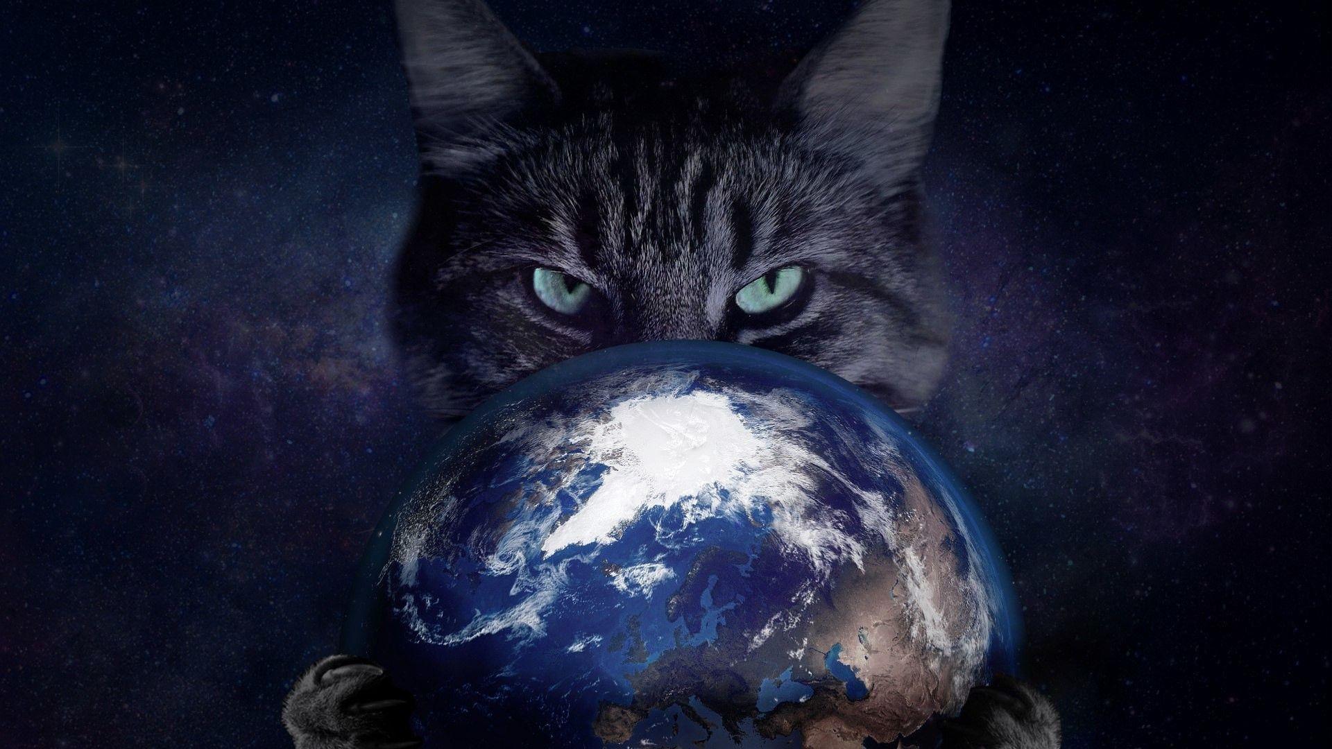 Insidious gray cat with the planet Earth in the clutches Desktop