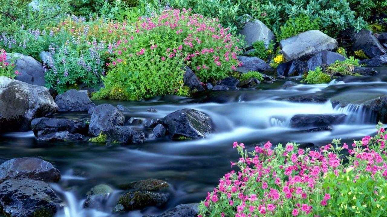 Nature Wallpaper 2017 Apps on Google Play