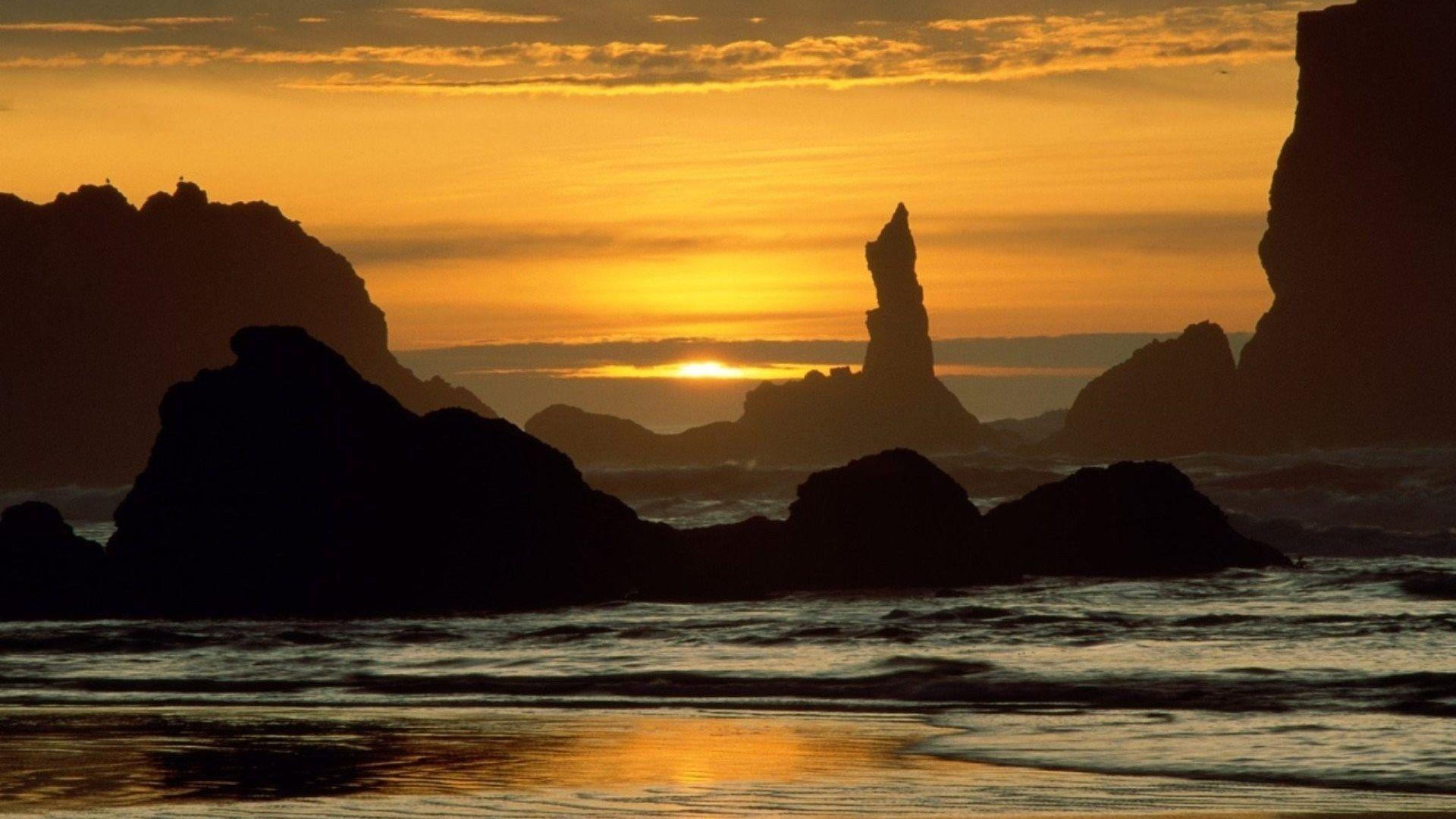 January 27, 2017 wallpaper: Tree Trees Nature Forest