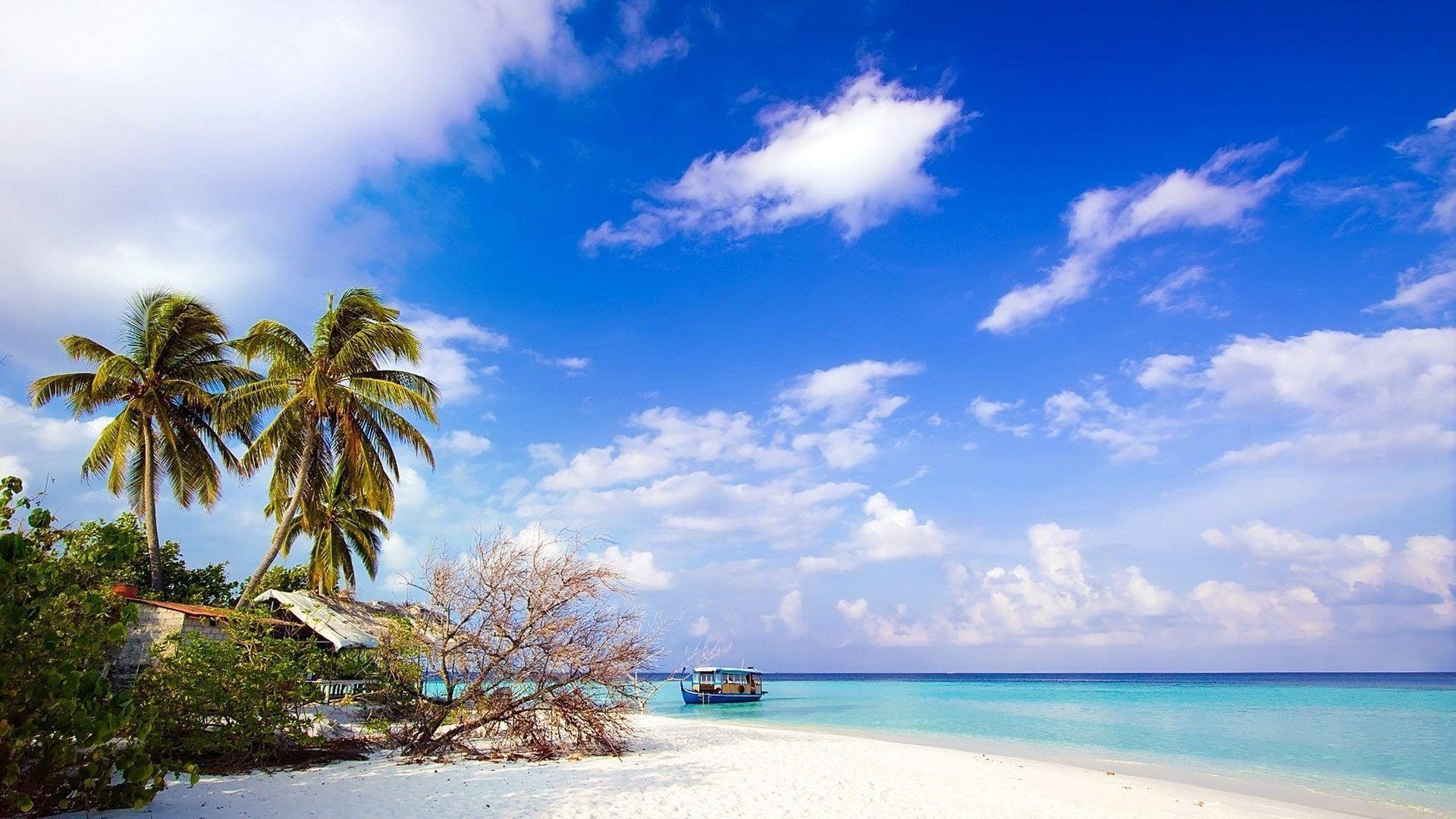 Beaches: Landscape Trees Palm Sea Beach Super Nature Wallpaper