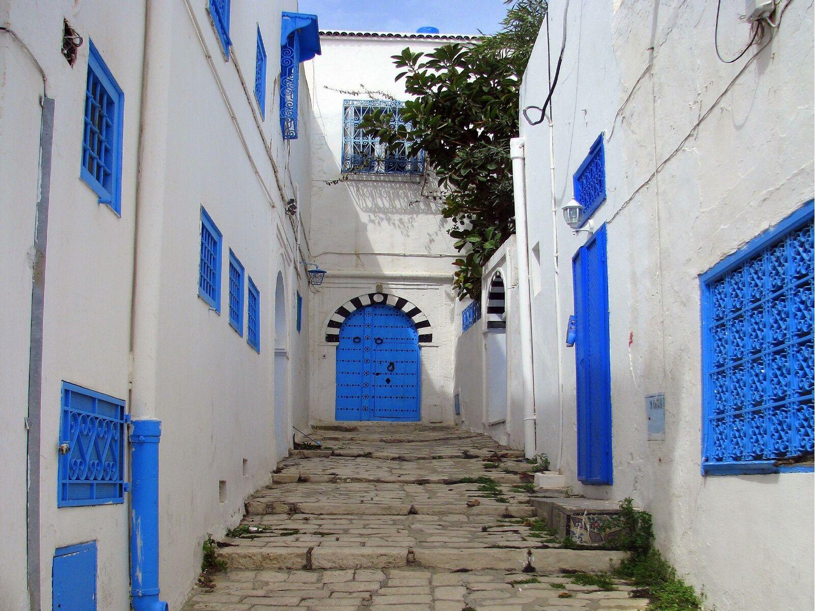 Blue and white houses in Tunisia Wallpaper