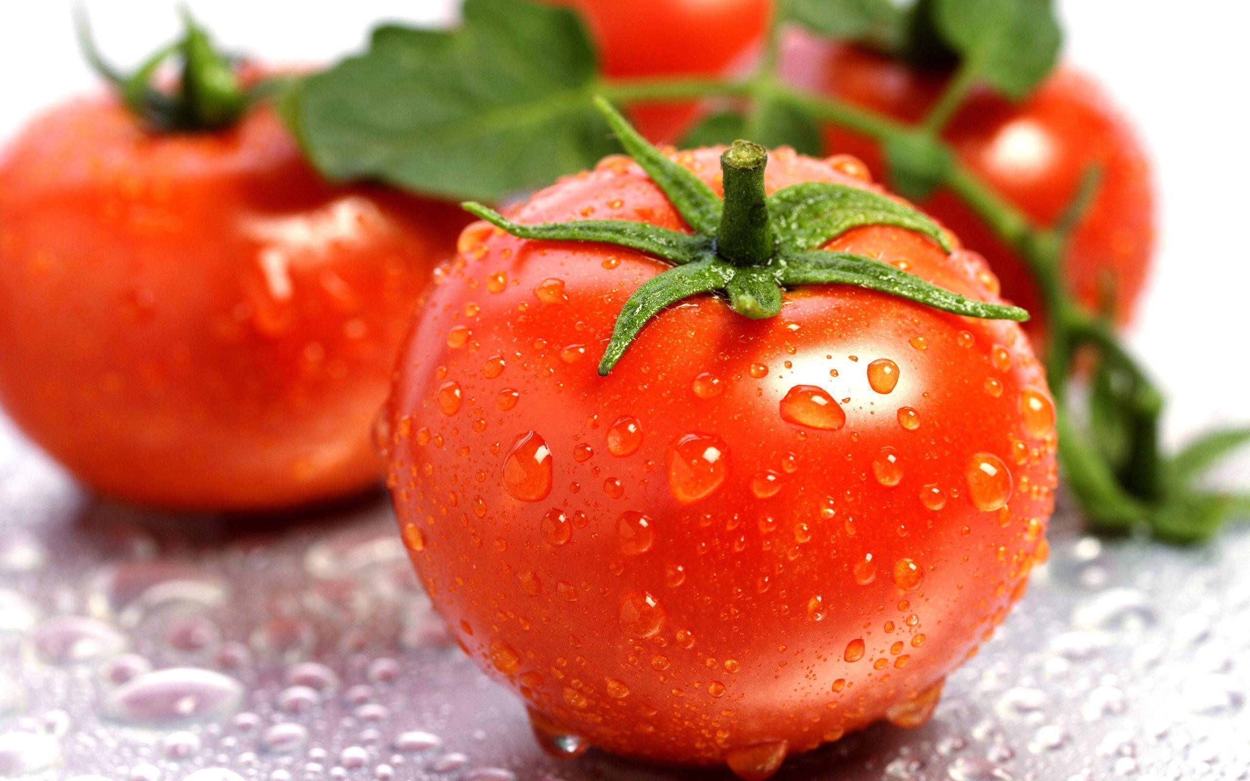 Tomato HD Wallpaper