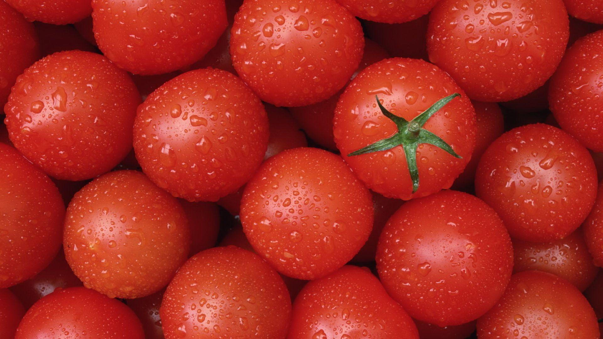 Tomato HD Wallpaper