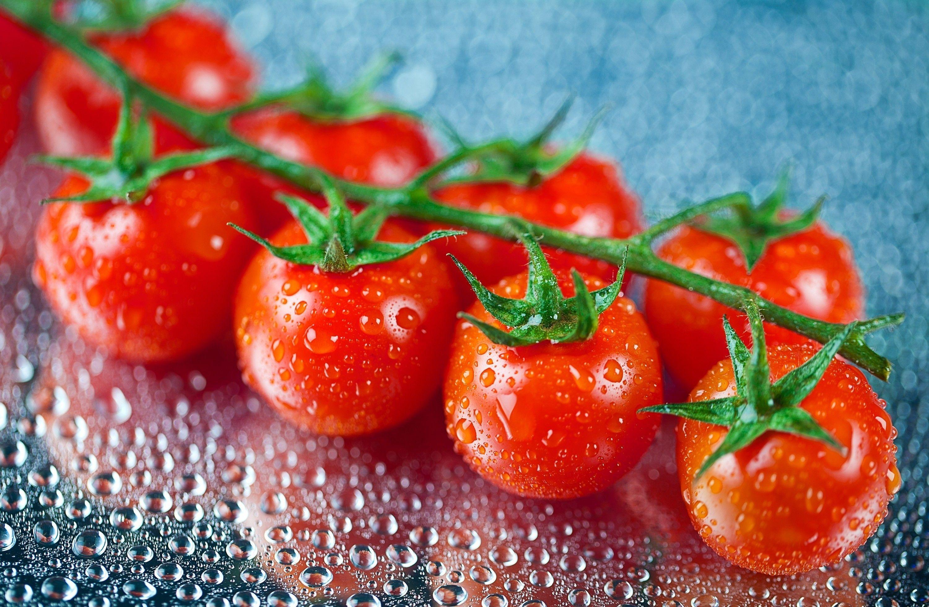 Tomato HD Wallpaper and Background Image
